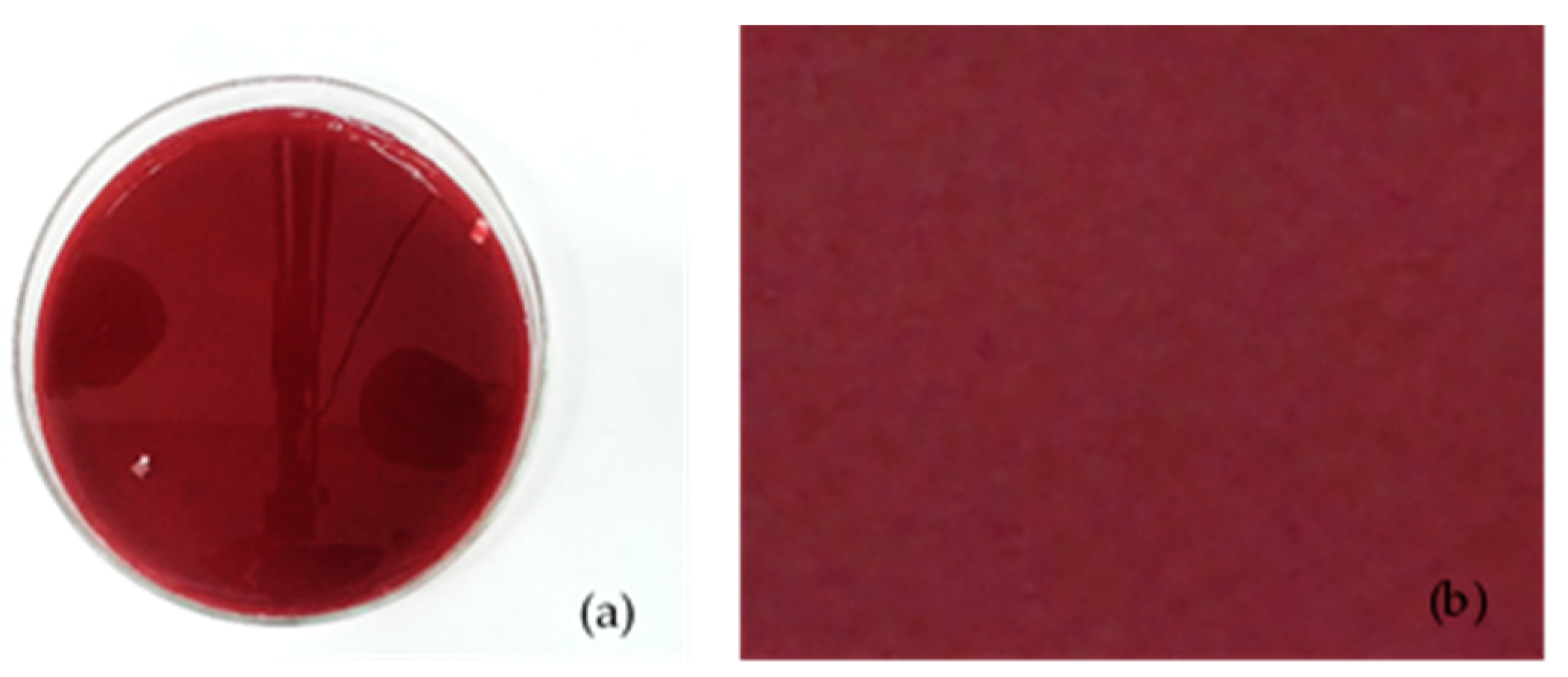 Agronomy 11 00156 g005