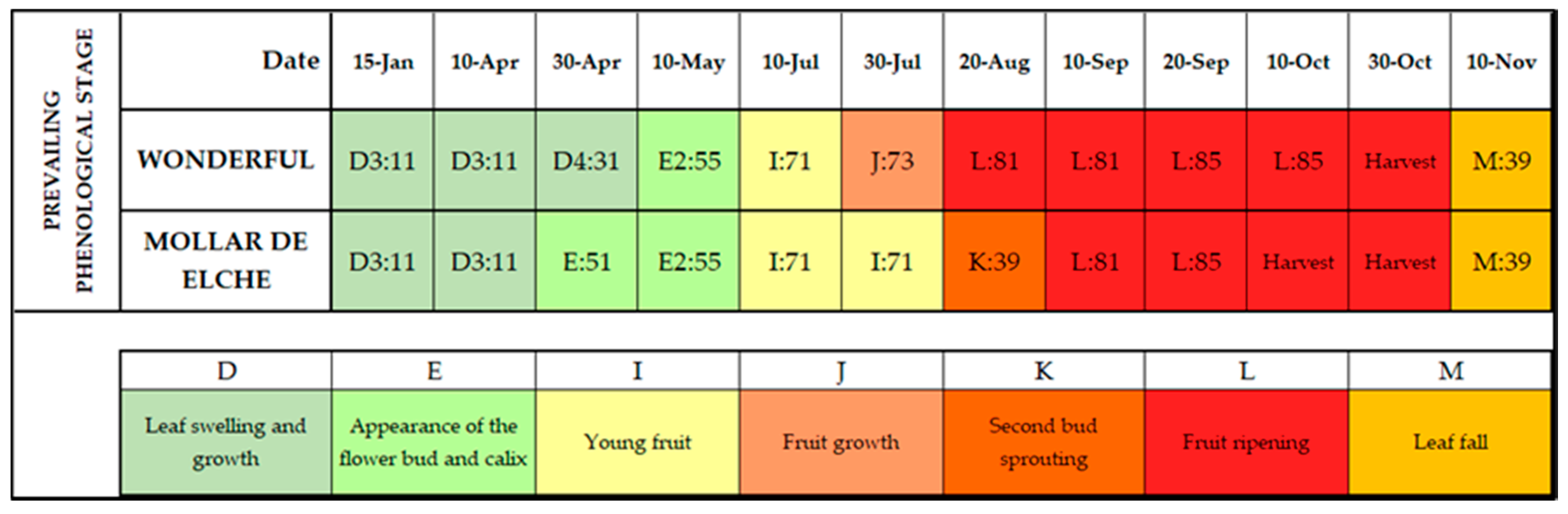 Agronomy 11 00156 g006