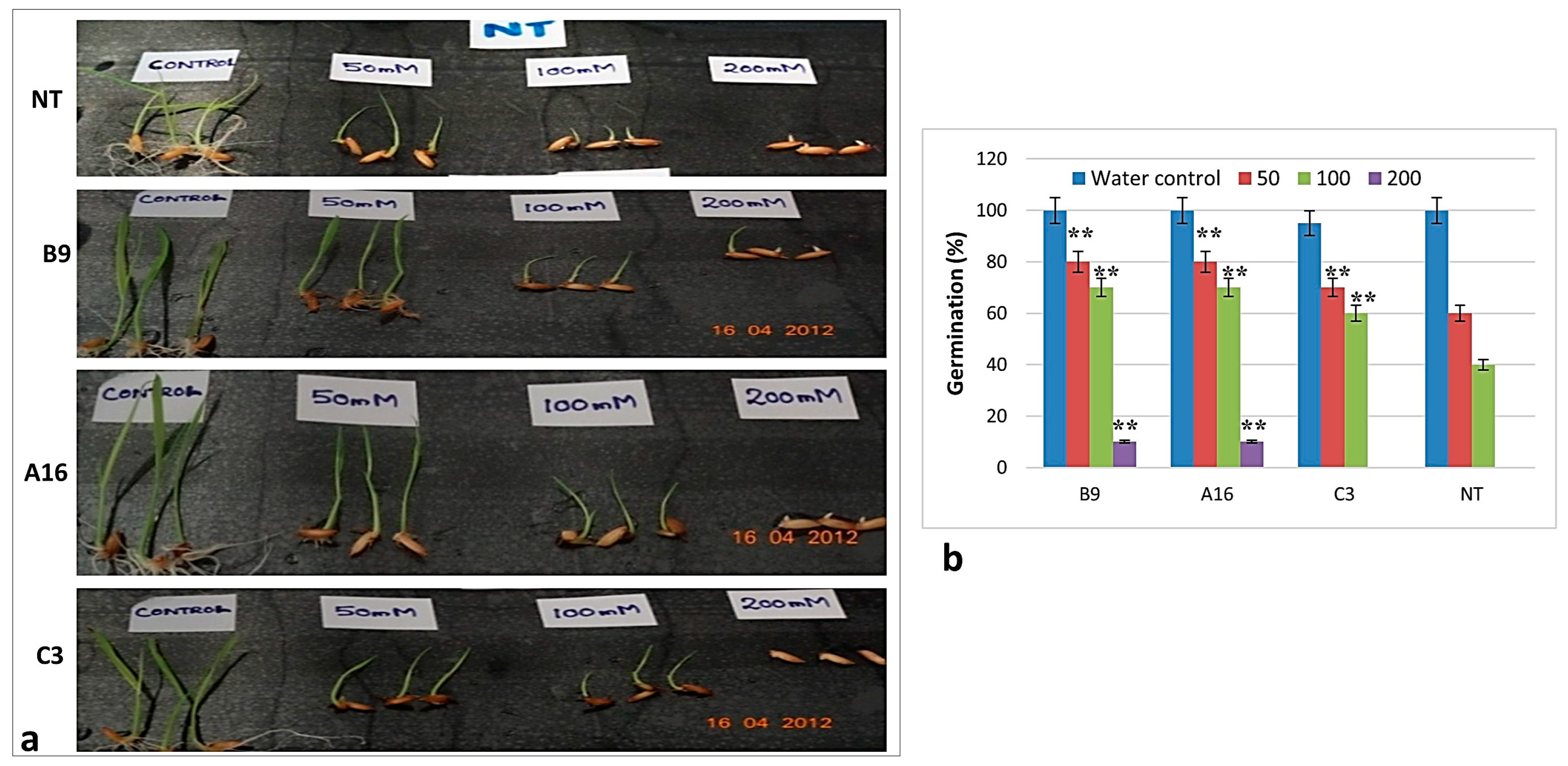 Agronomy 11 00159 g005 Agronomy 11 00159 g005