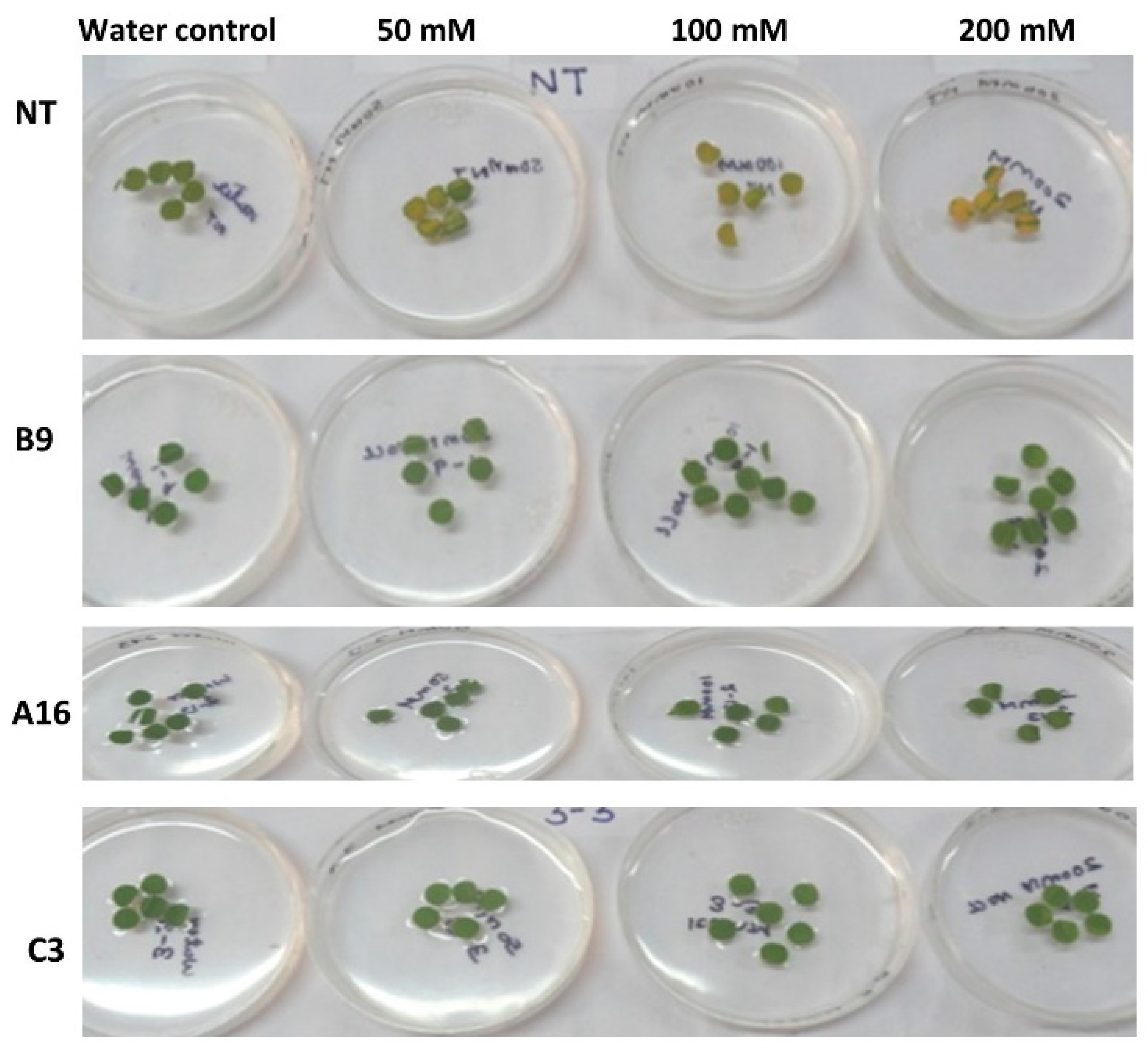Agronomy 11 00159 g007 Agronomy 11 00159 g007