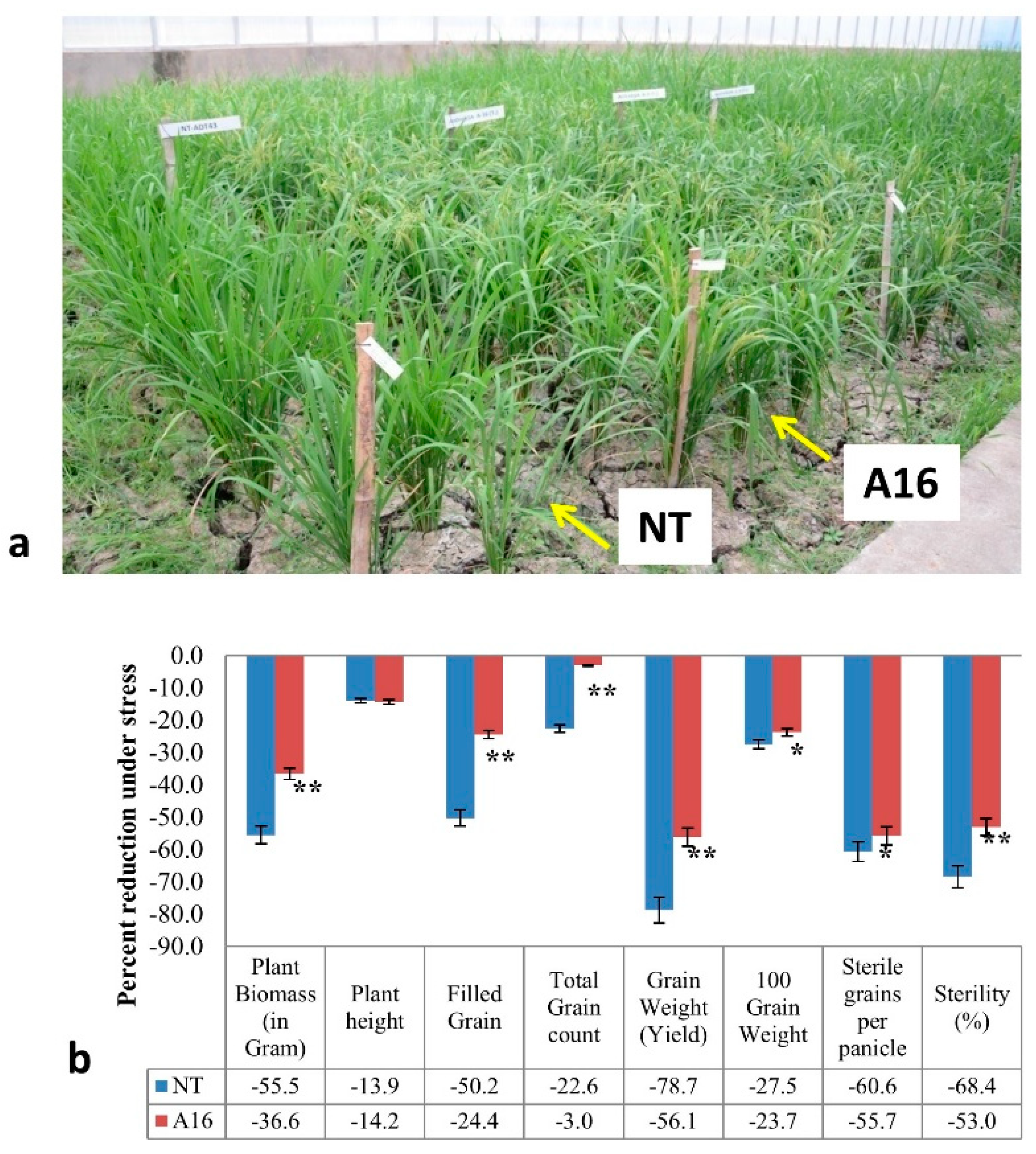Agronomy 11 00159 g010 Agronomy 11 00159 g010