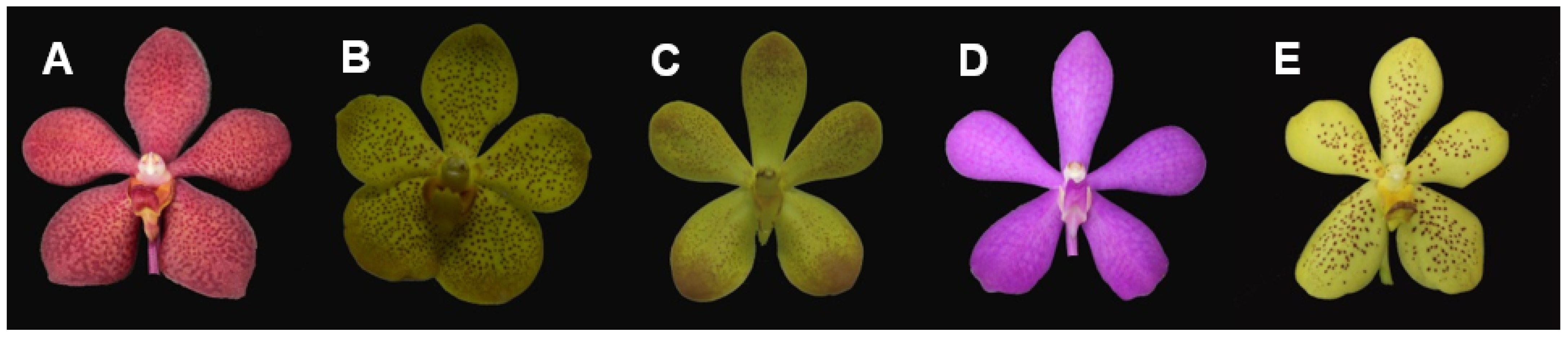 Agronomy 11 00160 g001 Agronomy 11 00160 g001