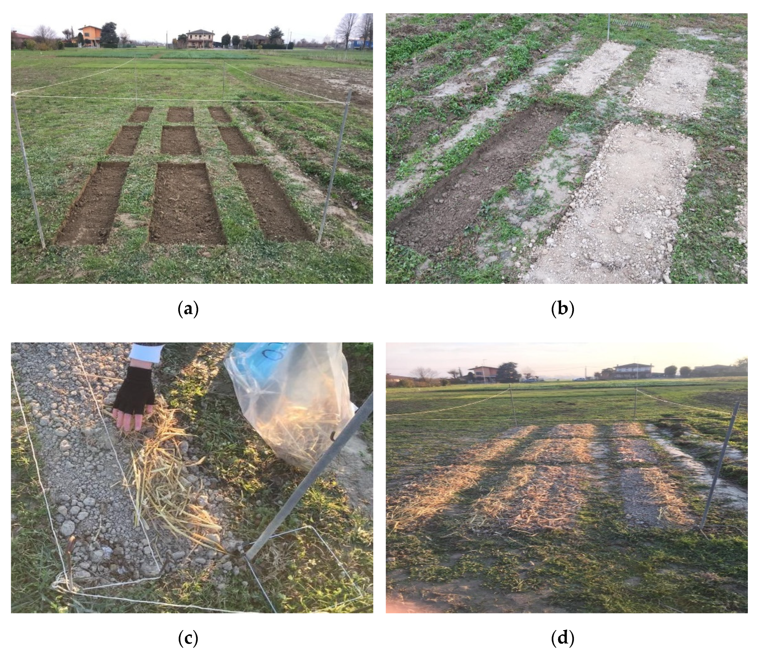 Agronomy 11 00163 g001