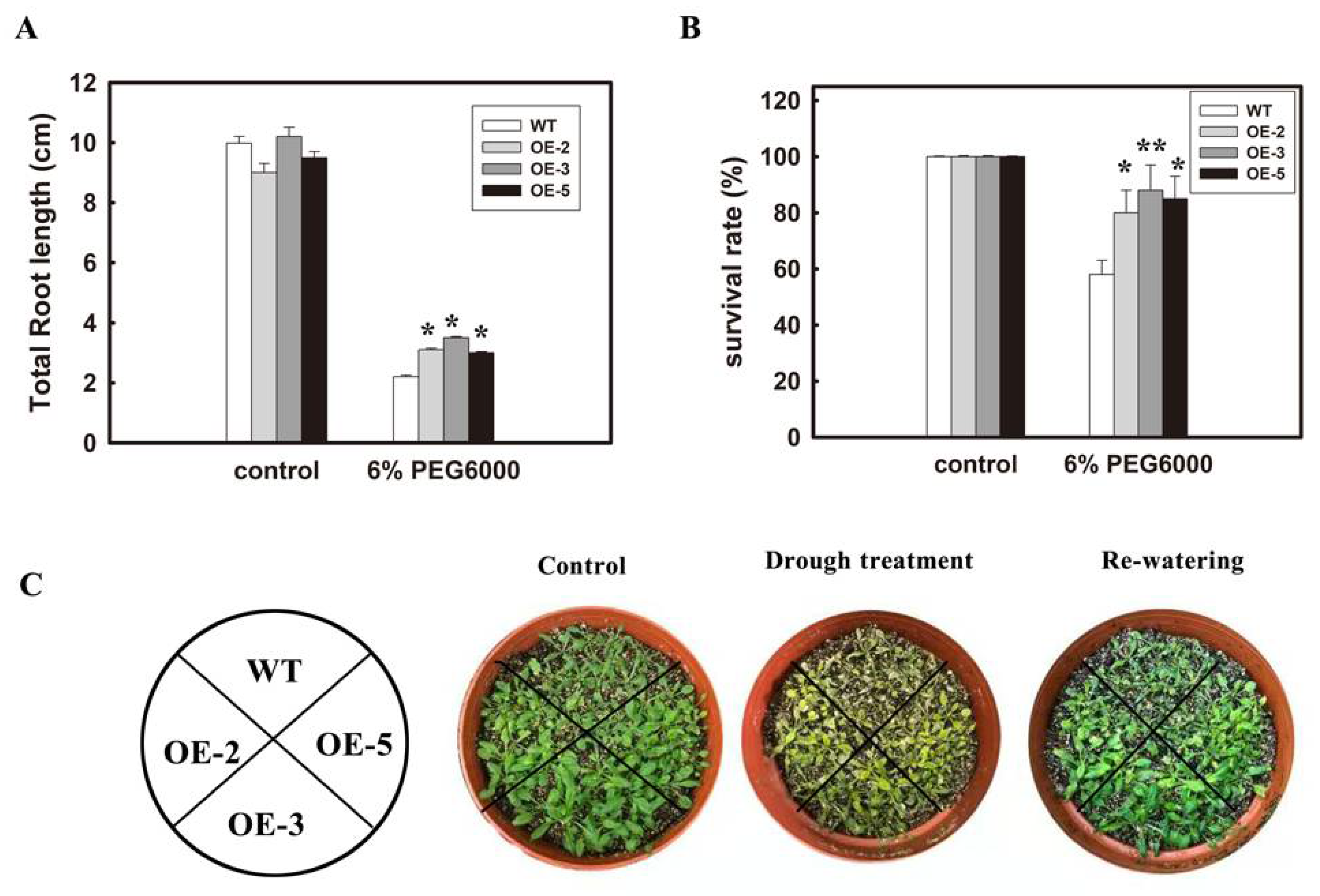 Agronomy 11 00170 g006 Agronomy 11 00170 g006