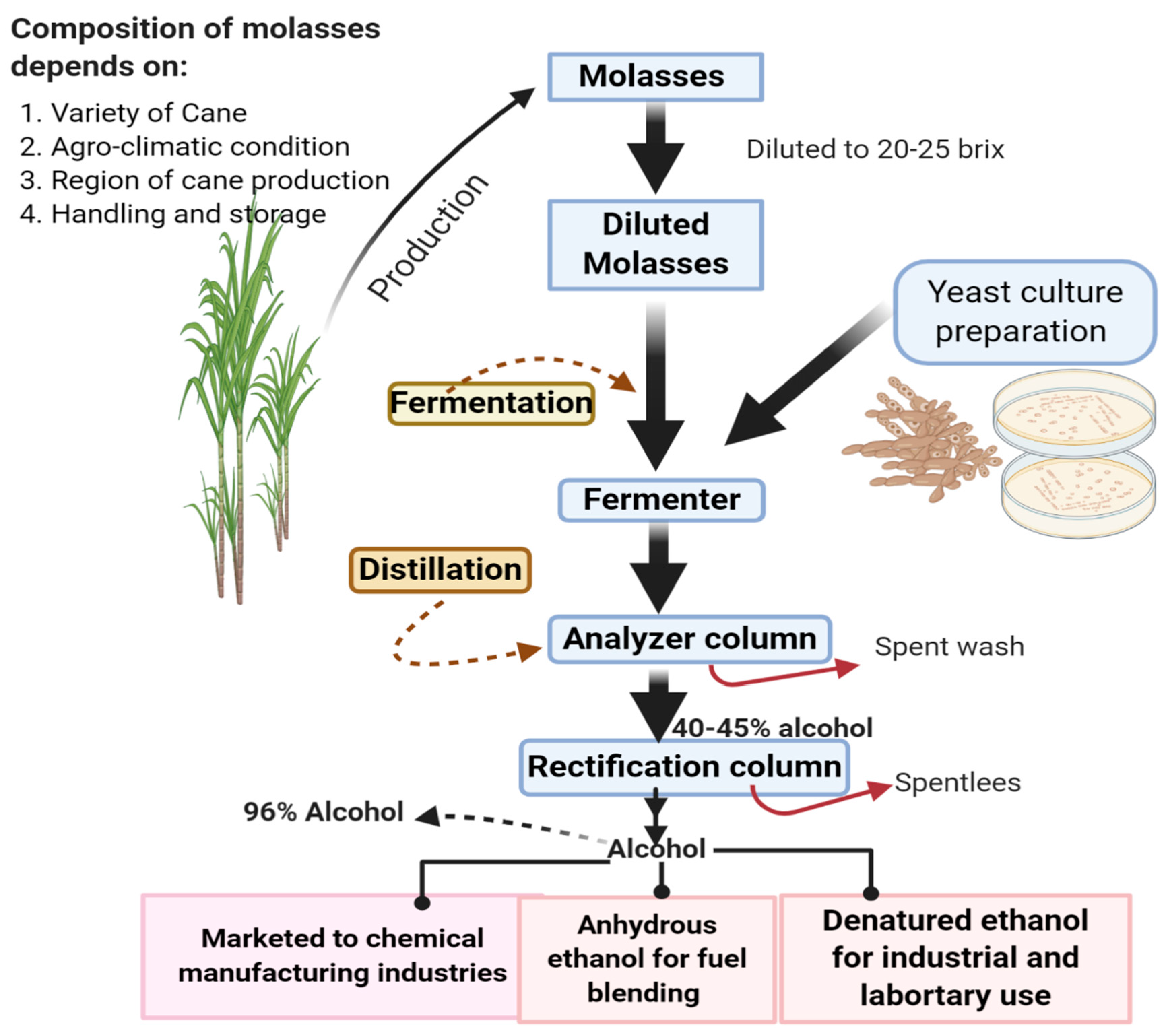 Agronomy 11 00183 g001 Agronomy 11 00183 g001