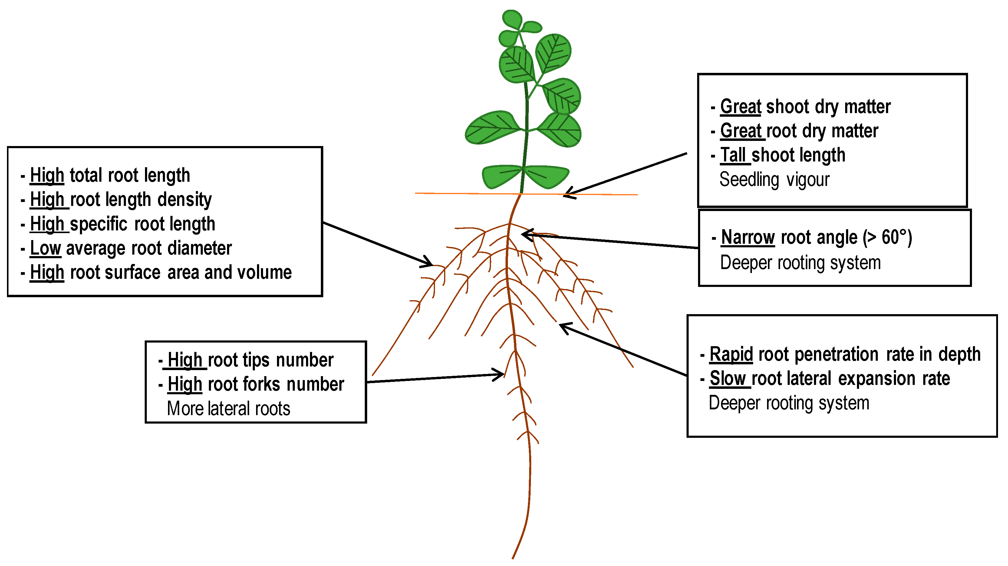 Agronomy 11 00188 g006 Agronomy 11 00188 g006