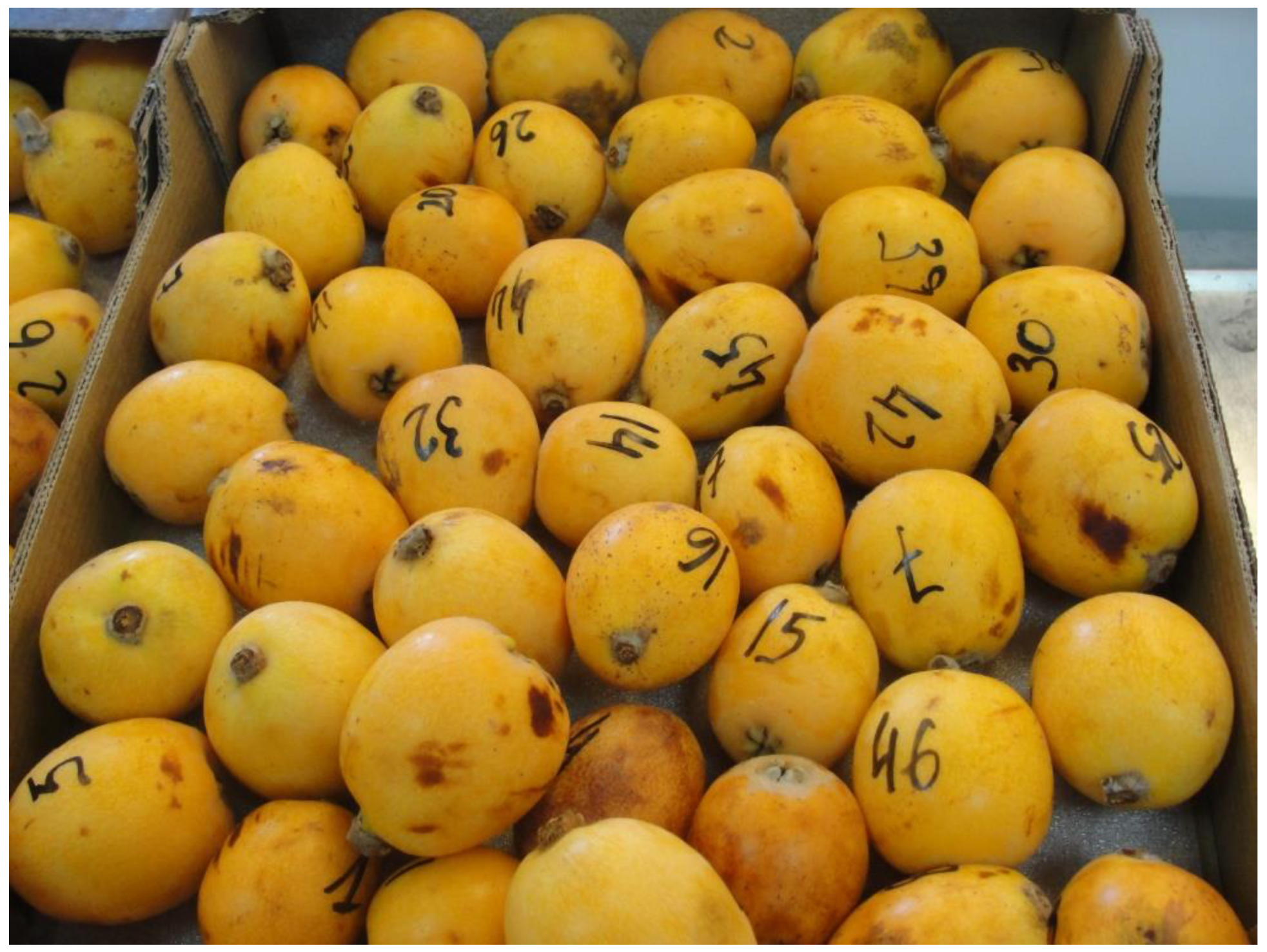 Agronomy 11 00201 g002 Agronomy 11 00201 g002