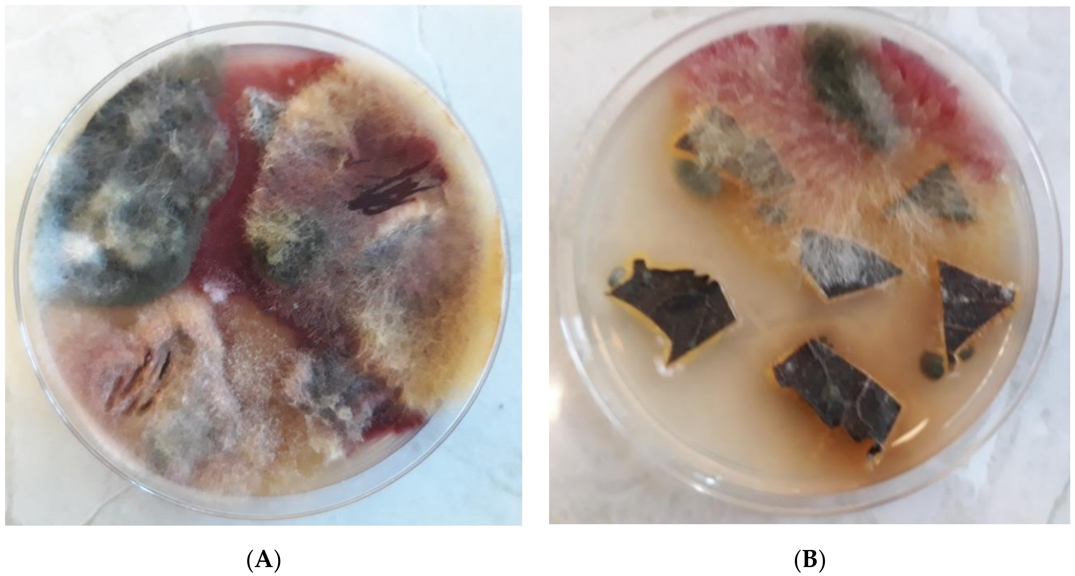 Agronomy 11 00234 g008 Agronomy 11 00234 g008