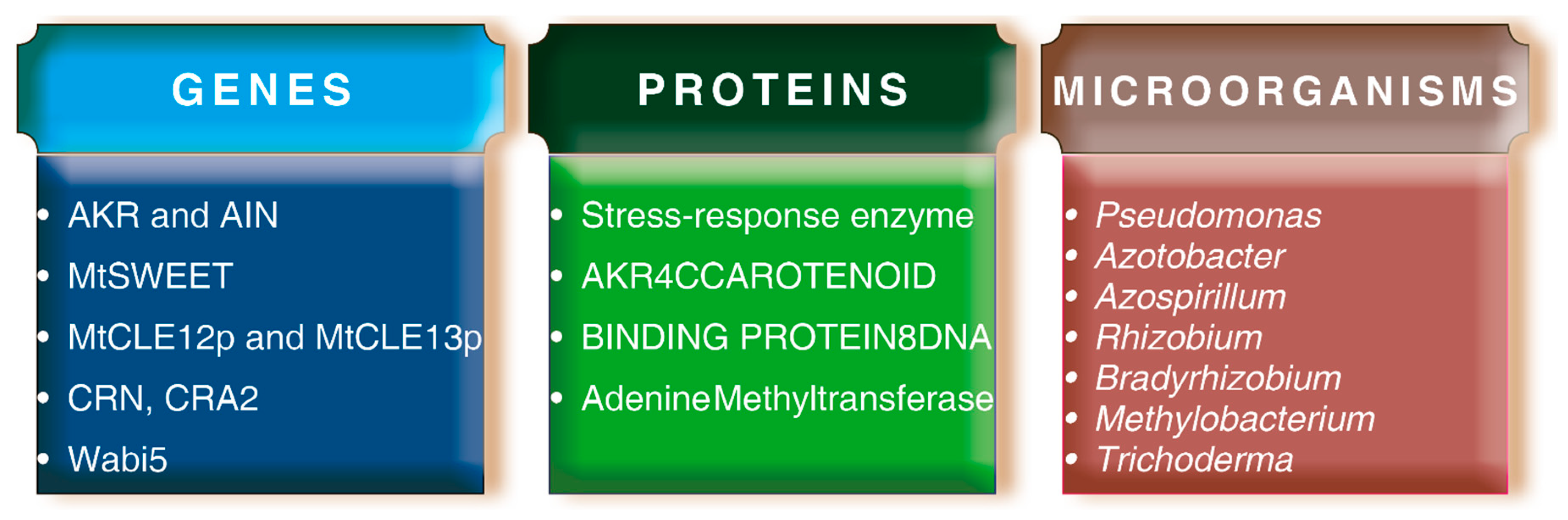 Agronomy 11 00241 g001 Agronomy 11 00241 g001
