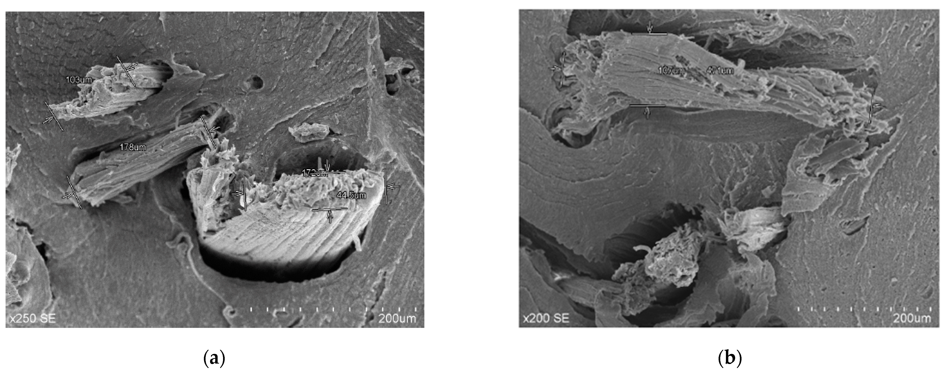 Agronomy 11 00242 g006 Agronomy 11 00242 g006