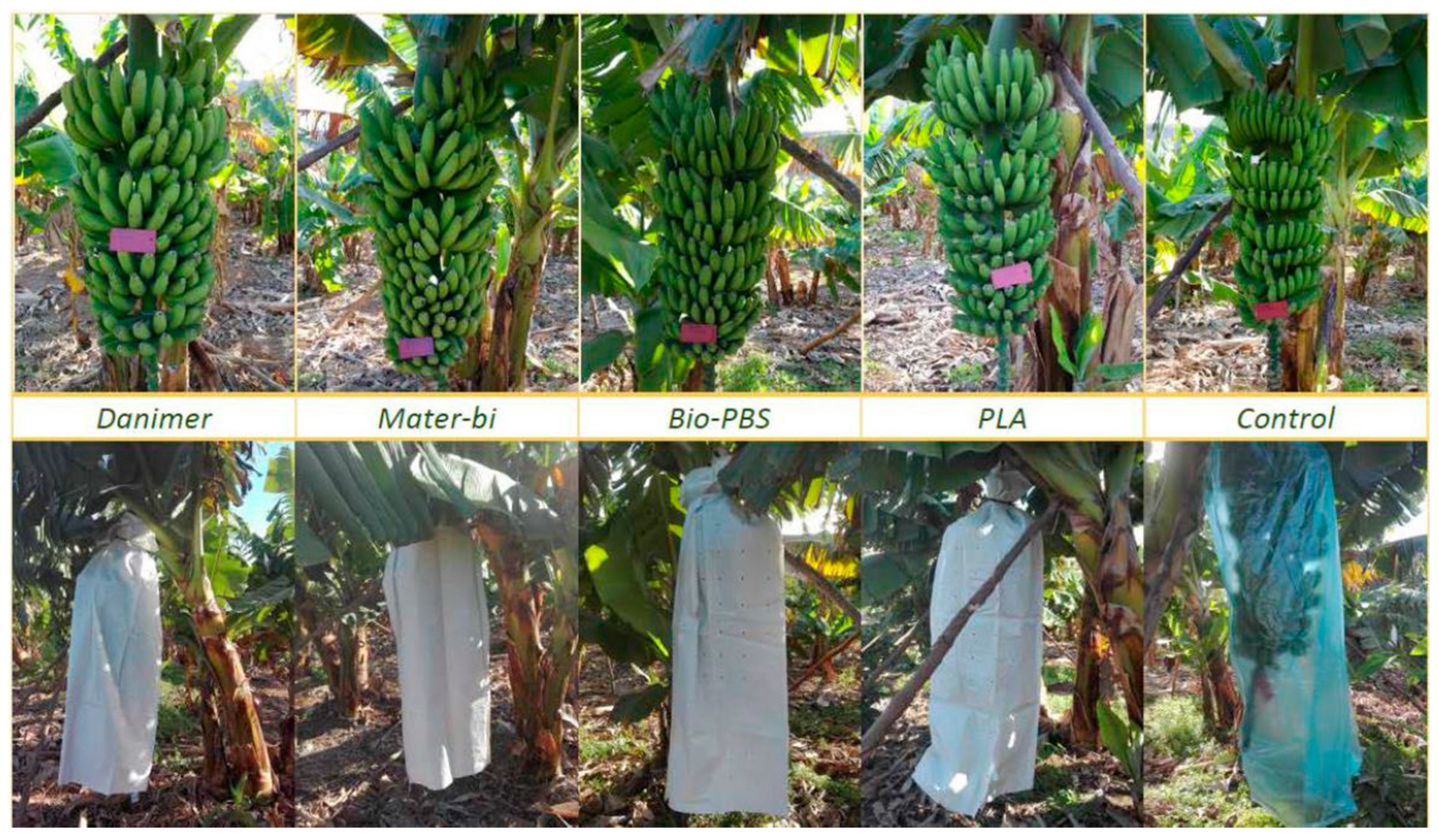 Agronomy 11 00242 g008 Agronomy 11 00242 g008