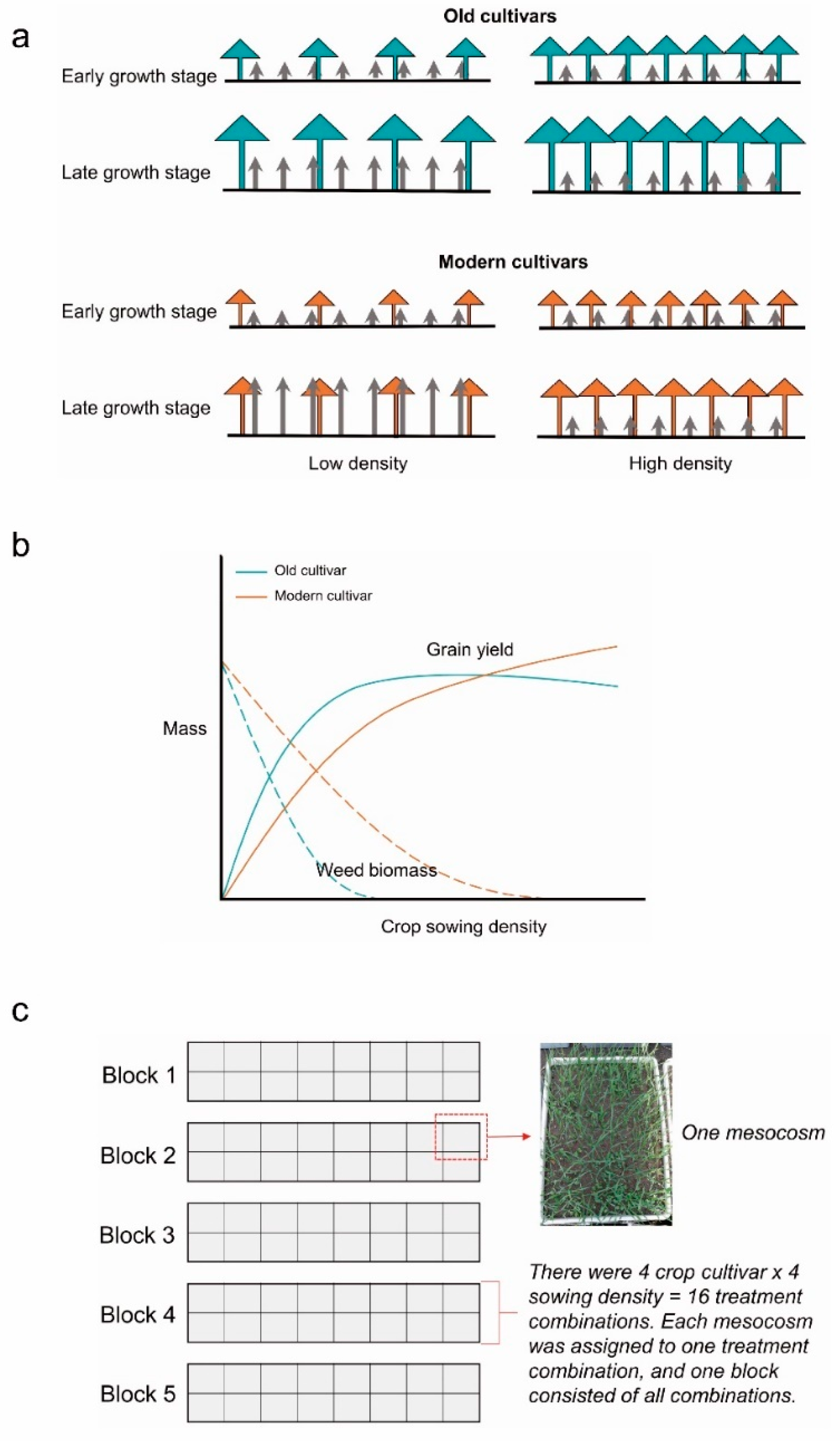 Agronomy 11 00253 g001 Agronomy 11 00253 g001