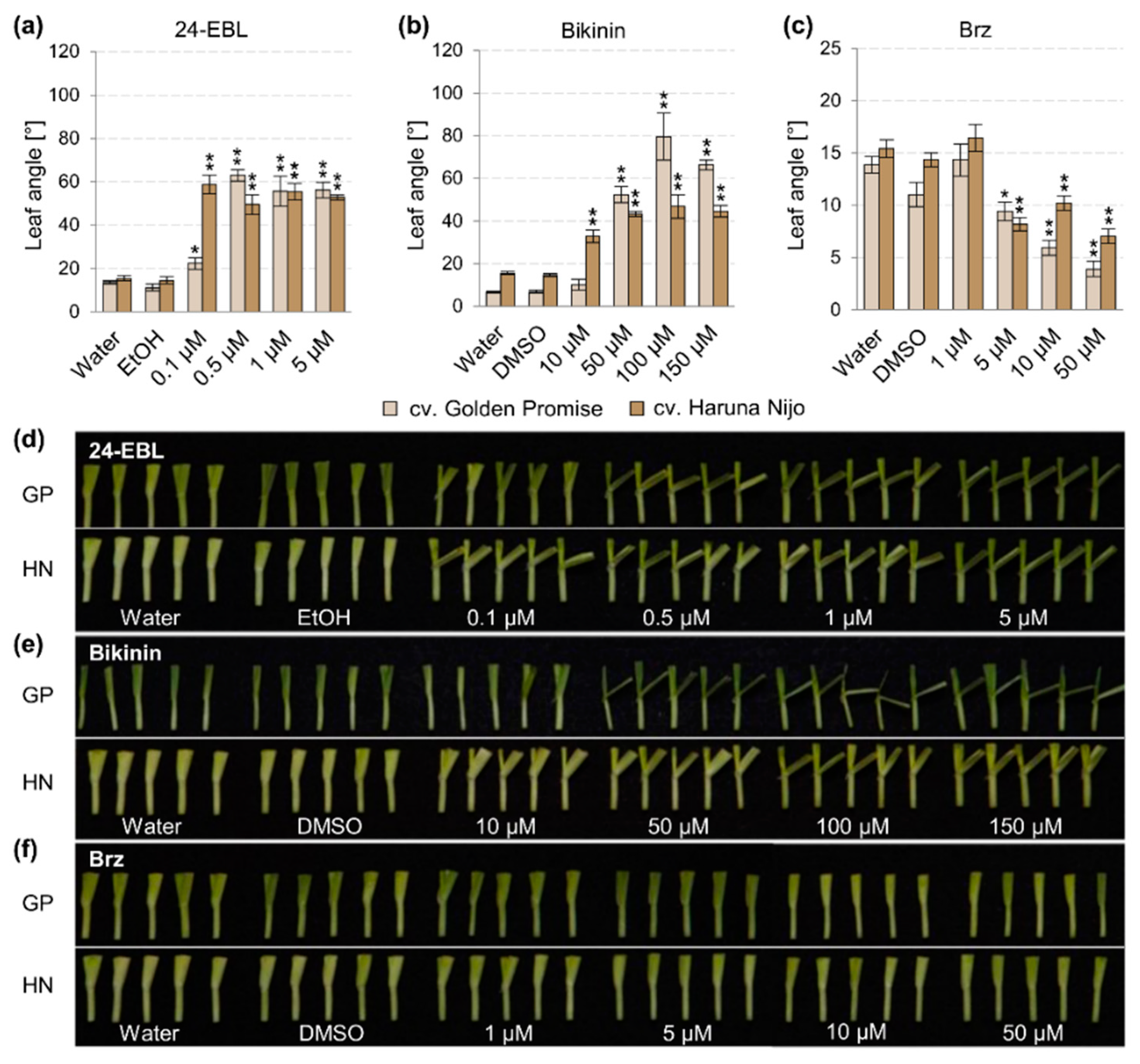 Agronomy 11 00259 g001