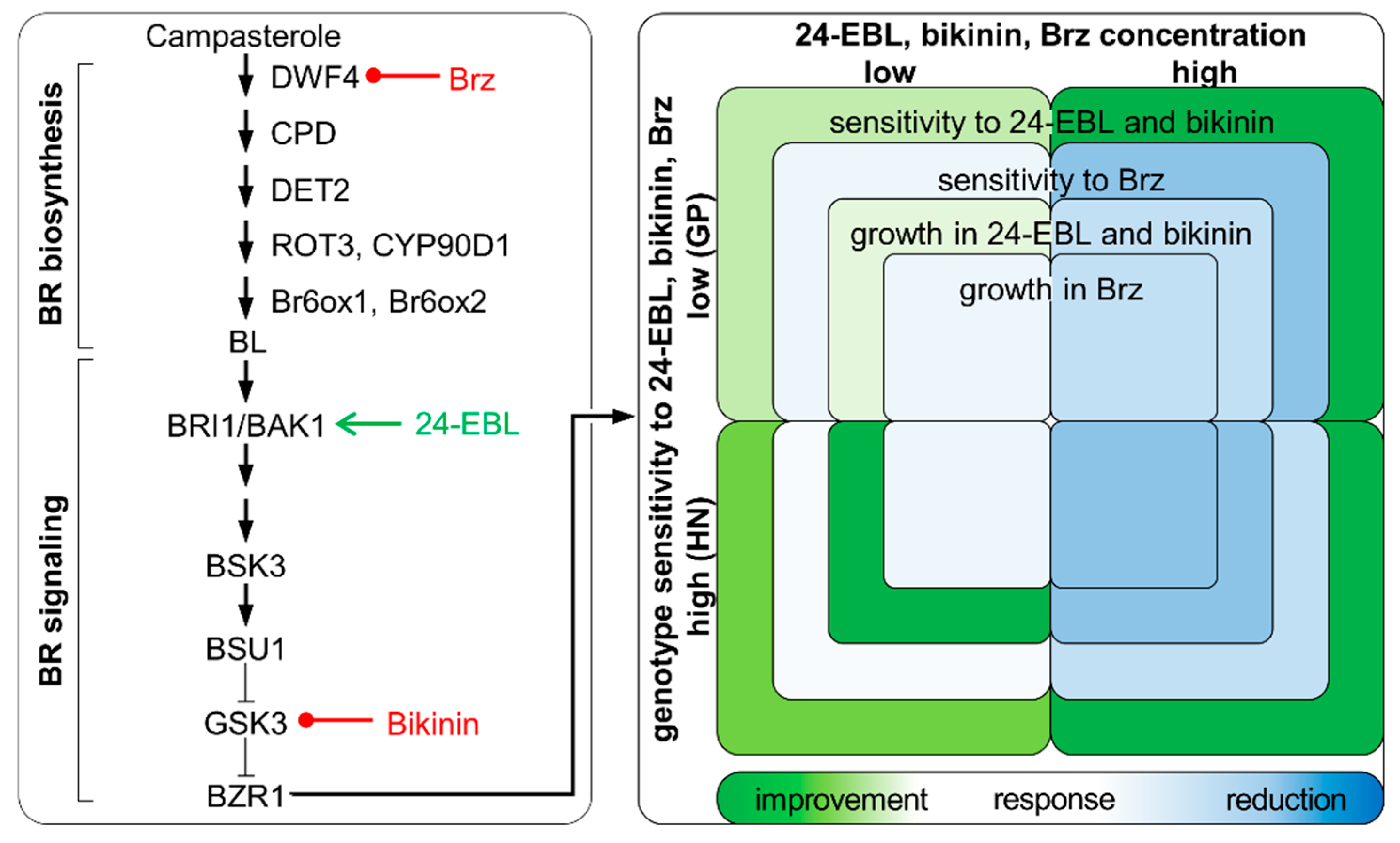 Agronomy 11 00259 g004