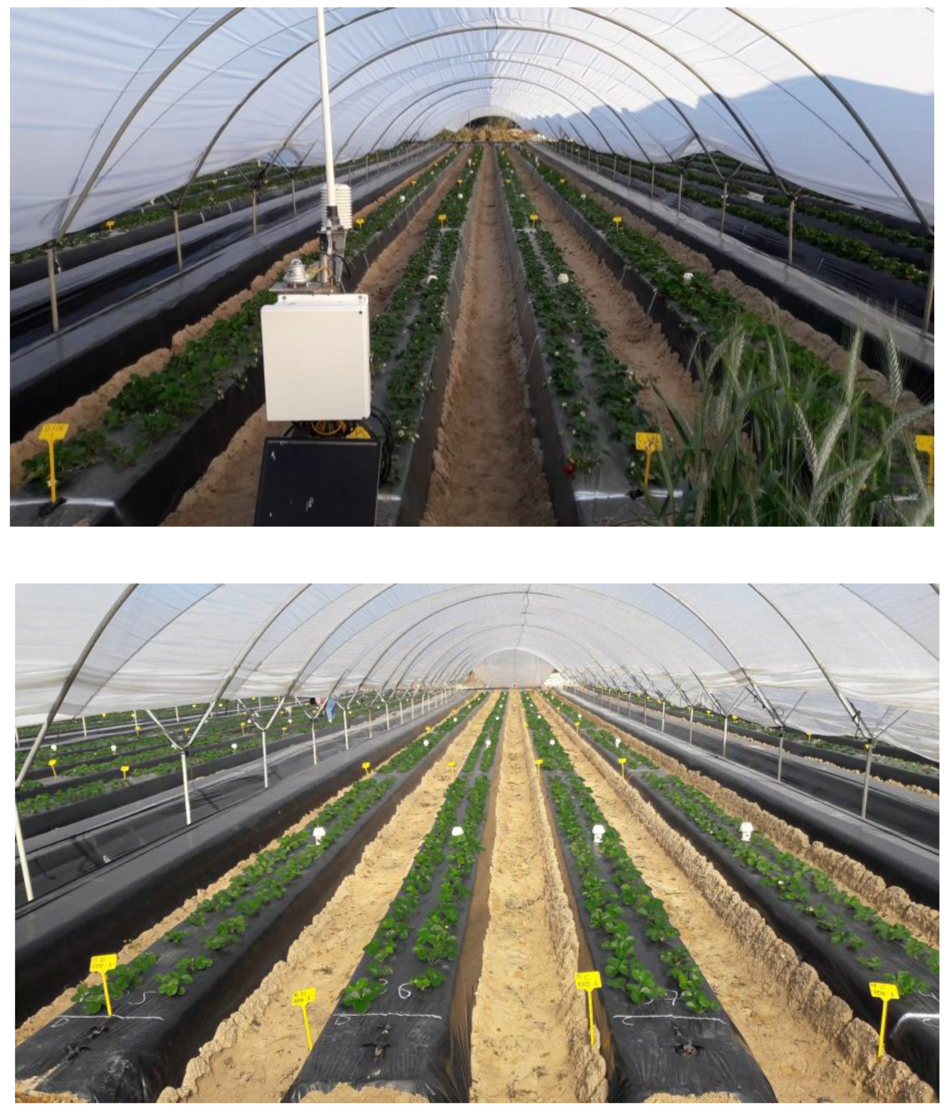 Agronomy 11 00261 g0a1