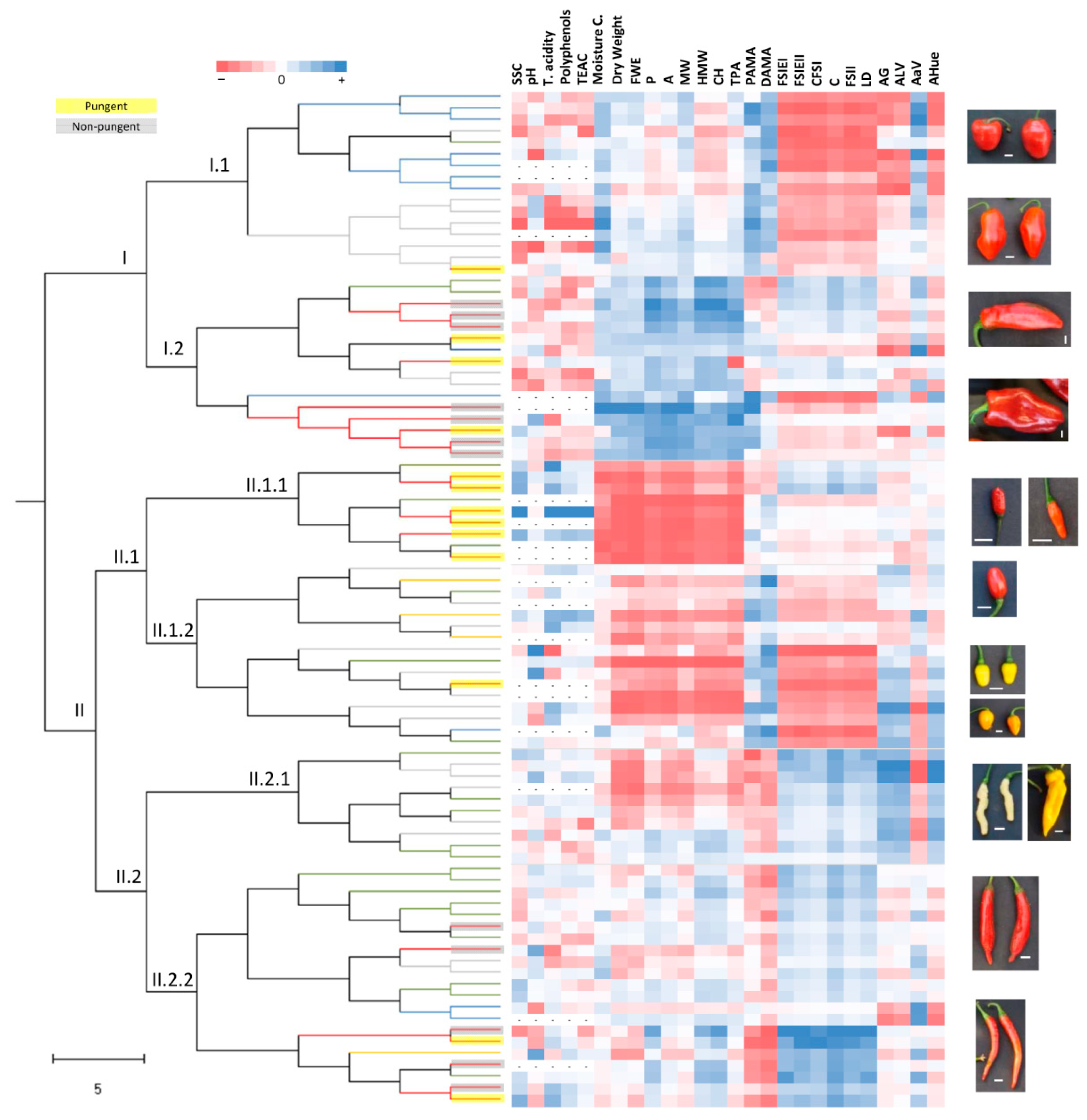 Agronomy 11 00262 g007