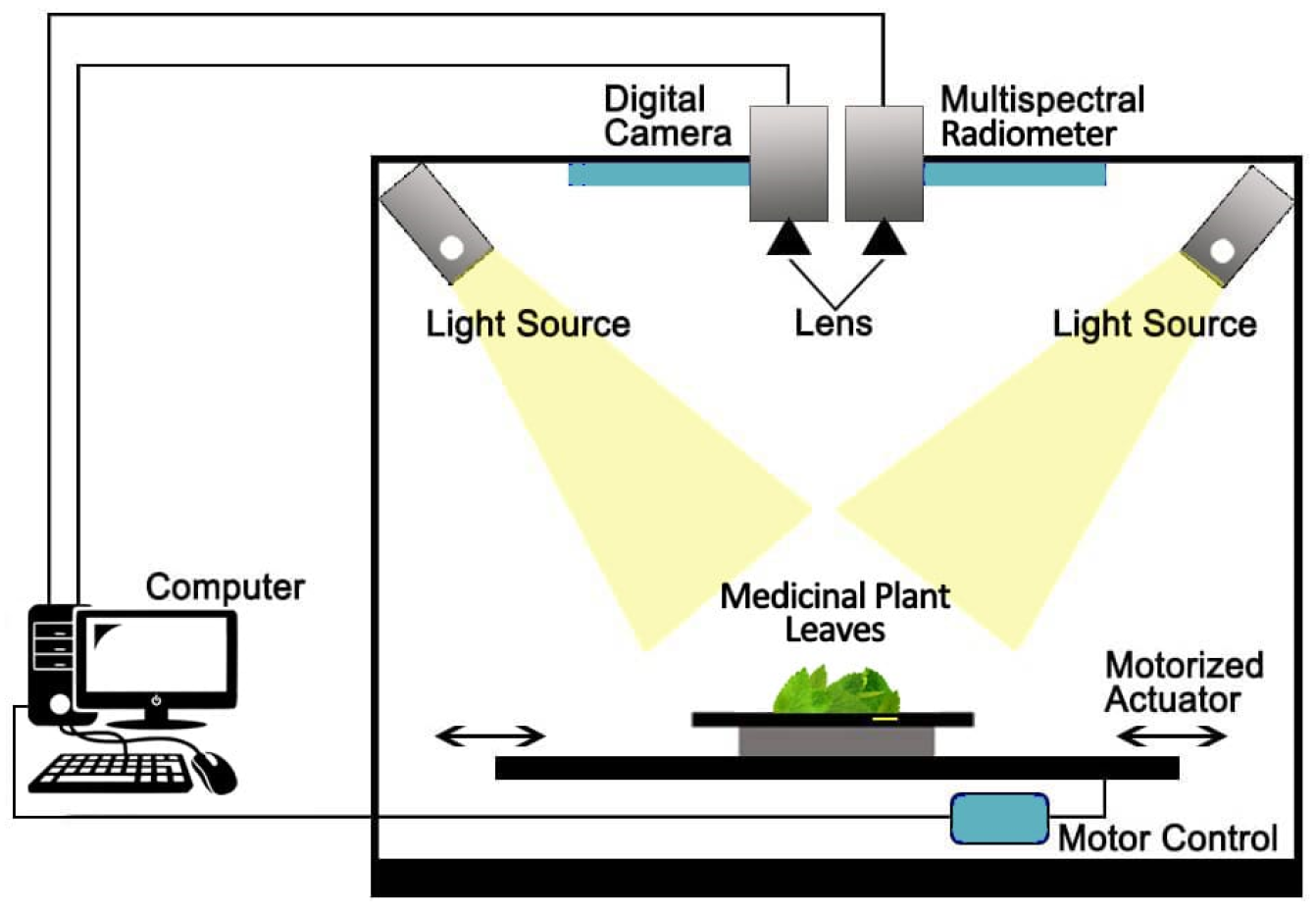 Agronomy 11 00263 g002