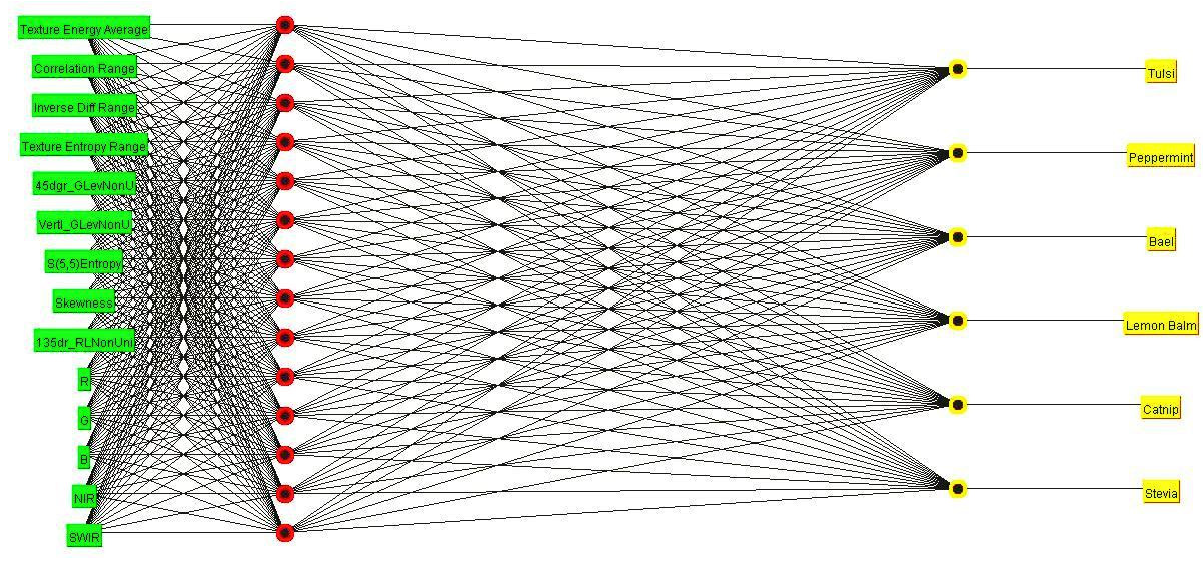 Agronomy 11 00263 g007