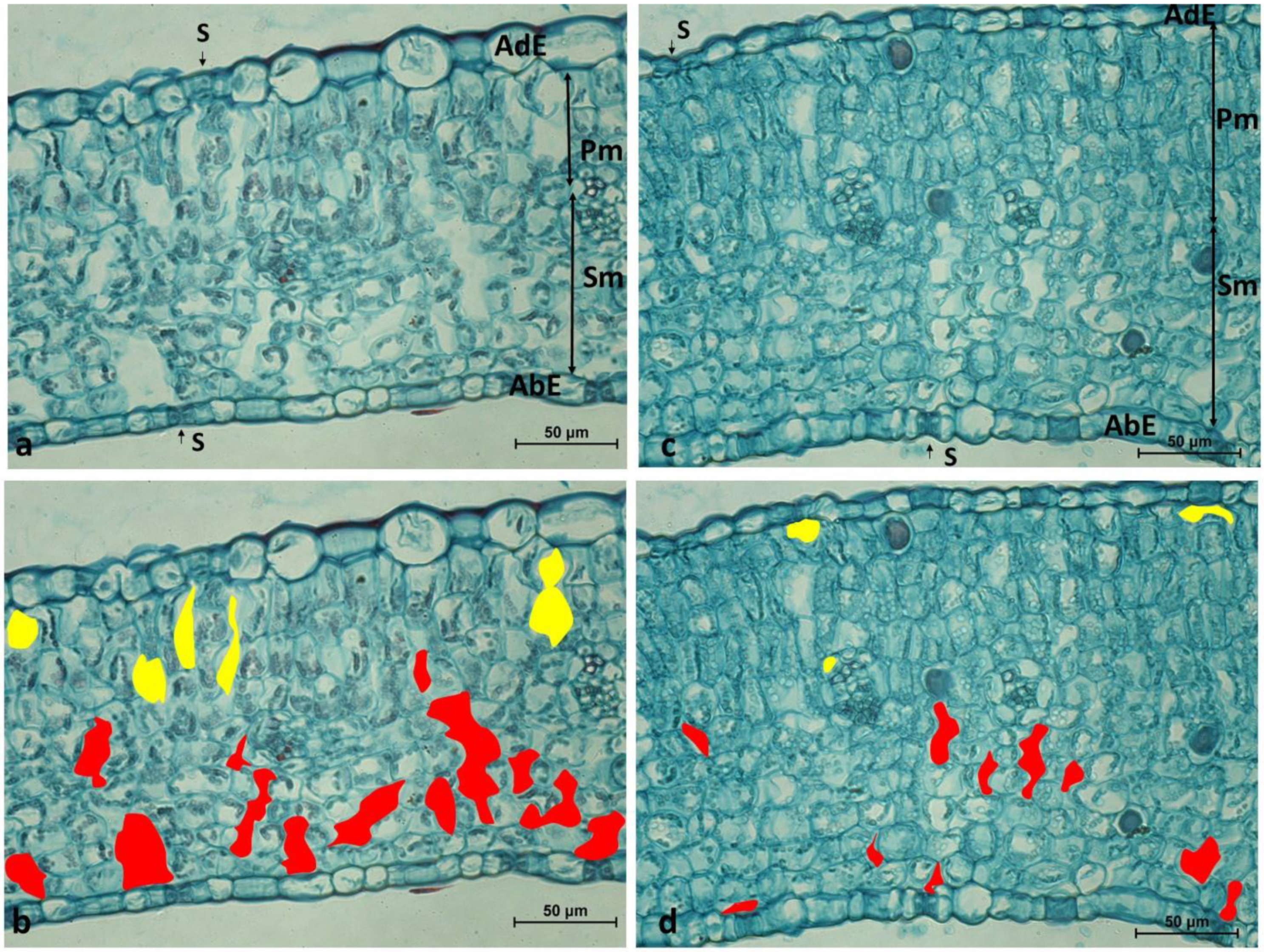 Agronomy 11 00275 g006 Agronomy 11 00275 g006