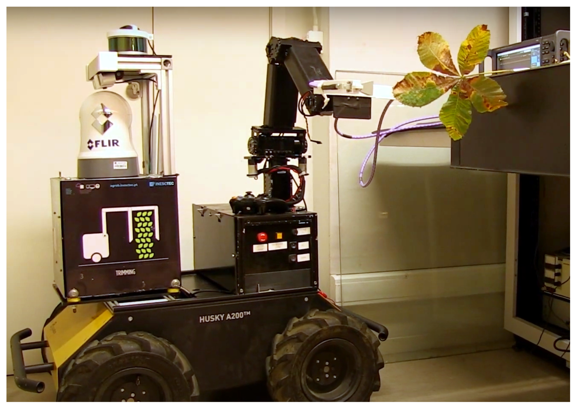 Agronomy 11 00279 g006