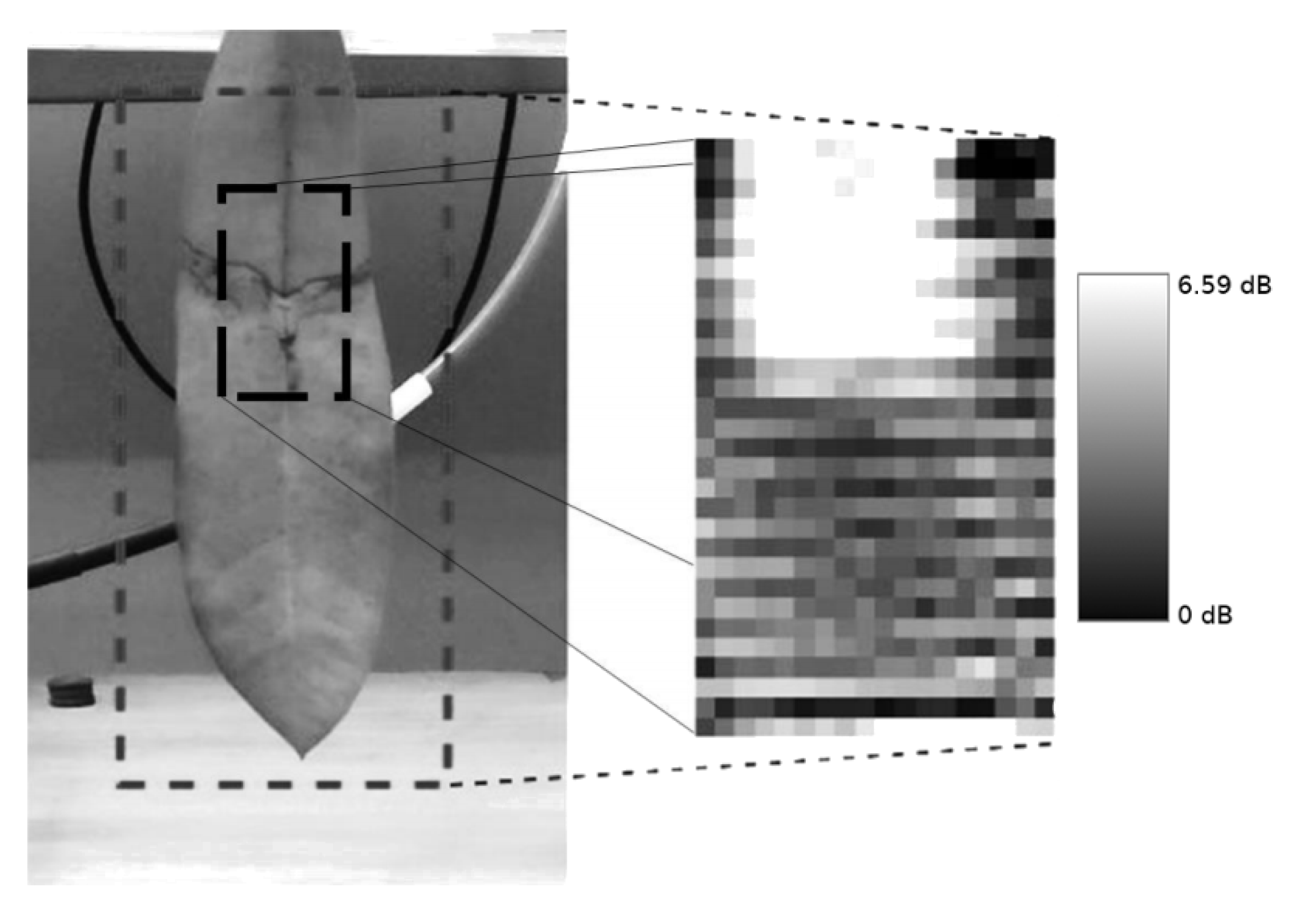 Agronomy 11 00279 g010