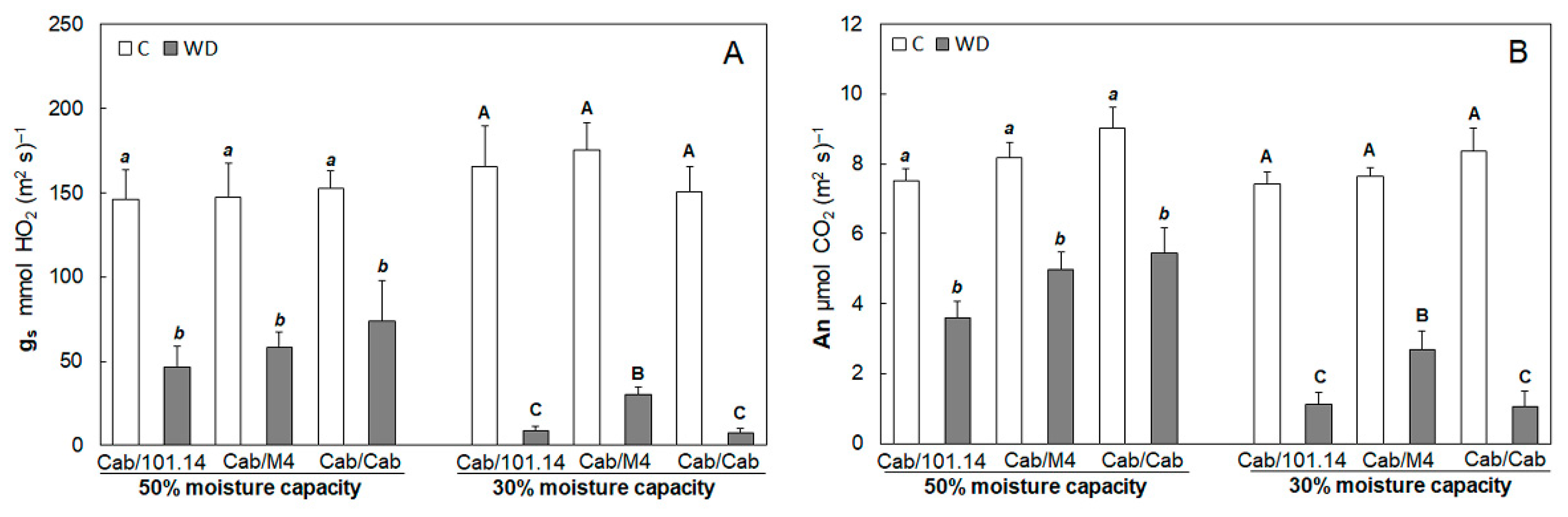 Agronomy 11 00289 g003 Agronomy 11 00289 g003