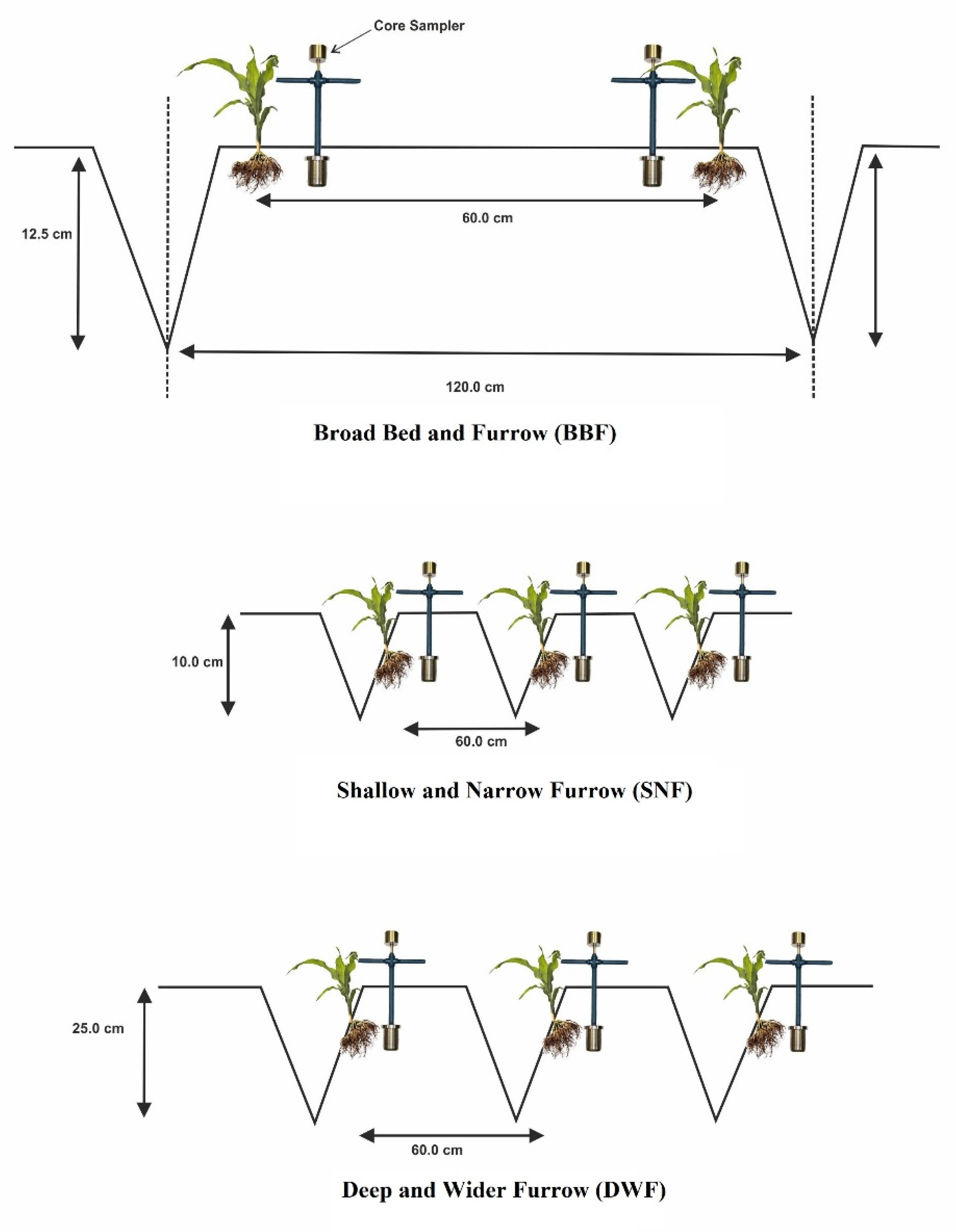 Agronomy 11 00294 g001 Agronomy 11 00294 g001