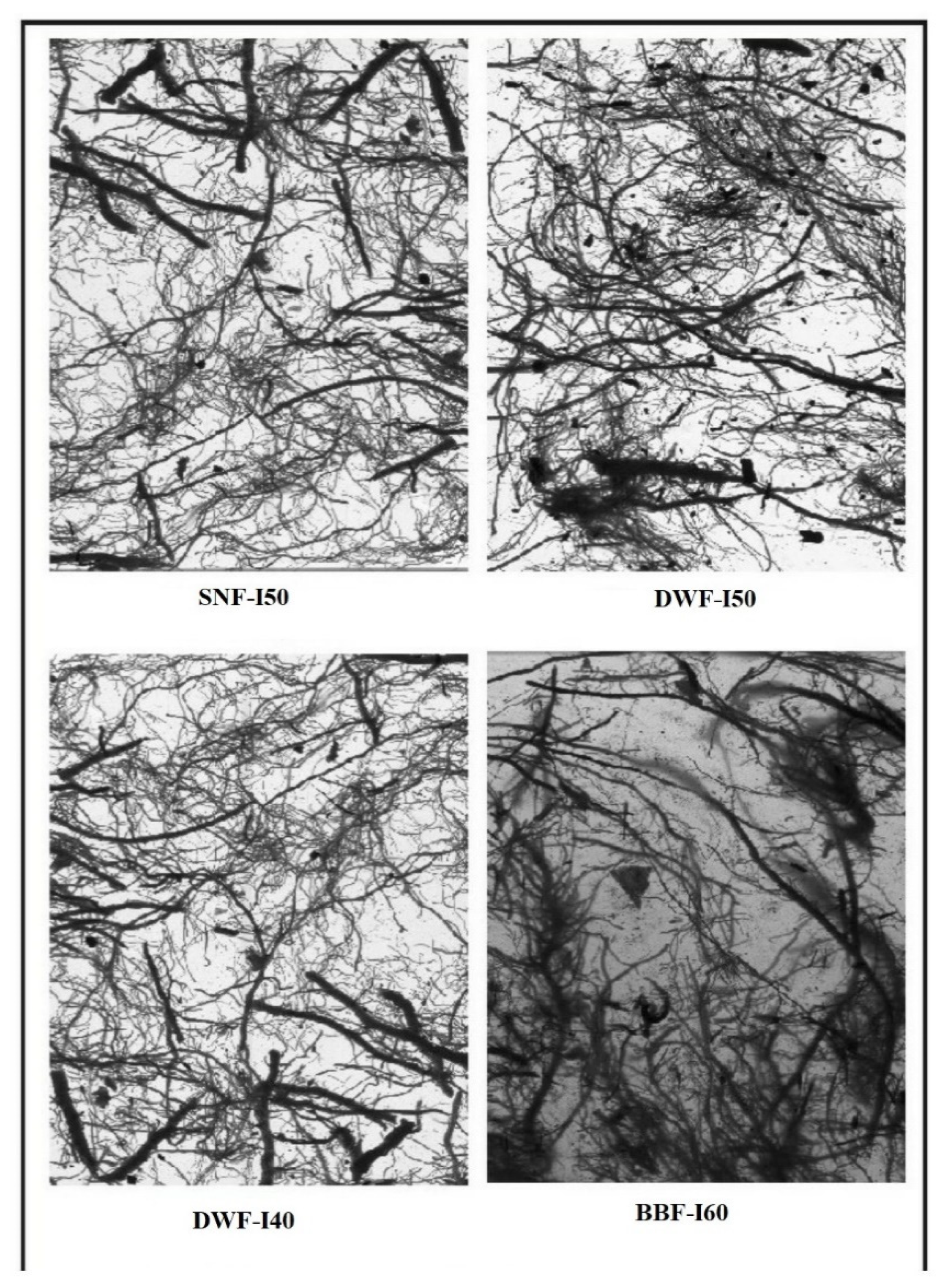 Agronomy 11 00294 g002 Agronomy 11 00294 g002