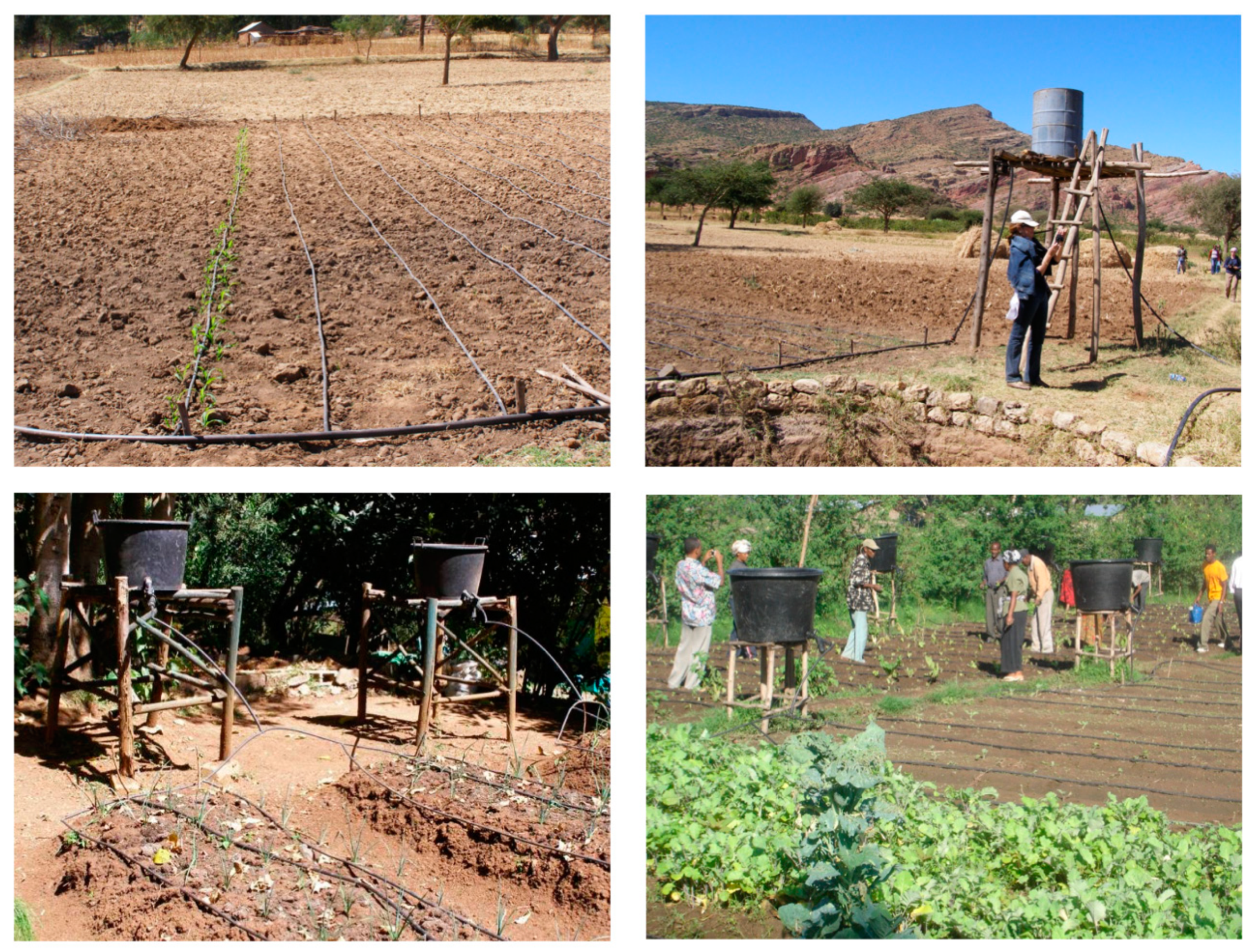 Agronomy 11 00306 g012