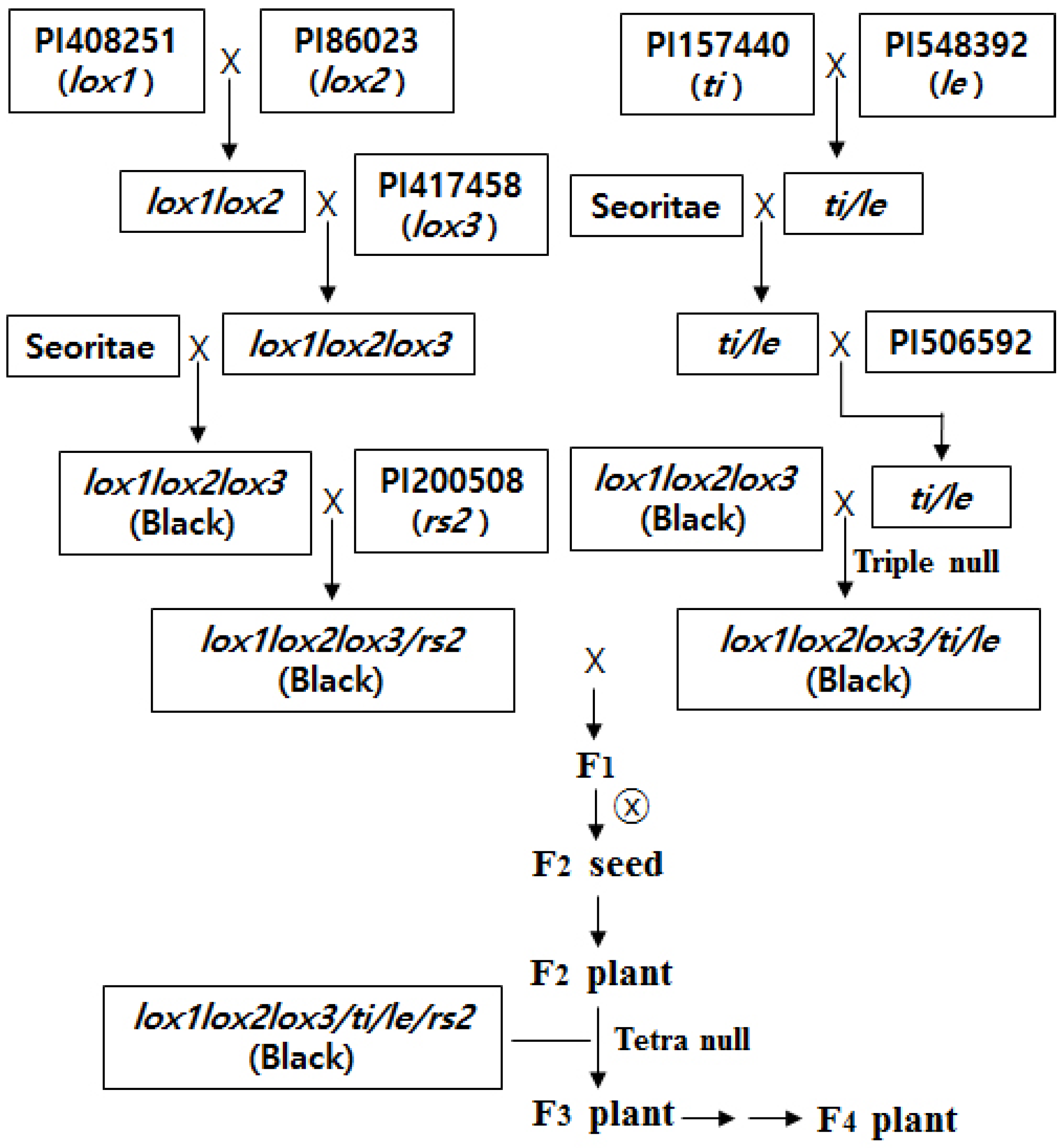 Agronomy 11 00309 g001