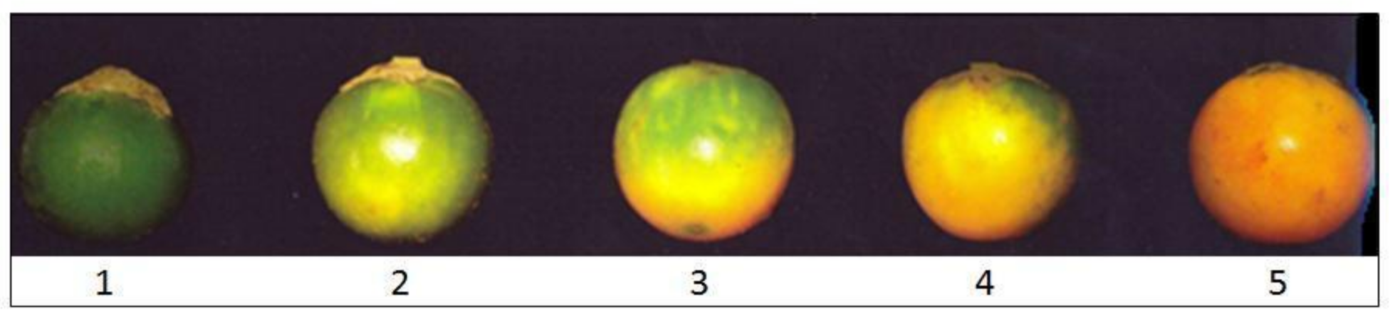 Agronomy 11 00310 g001