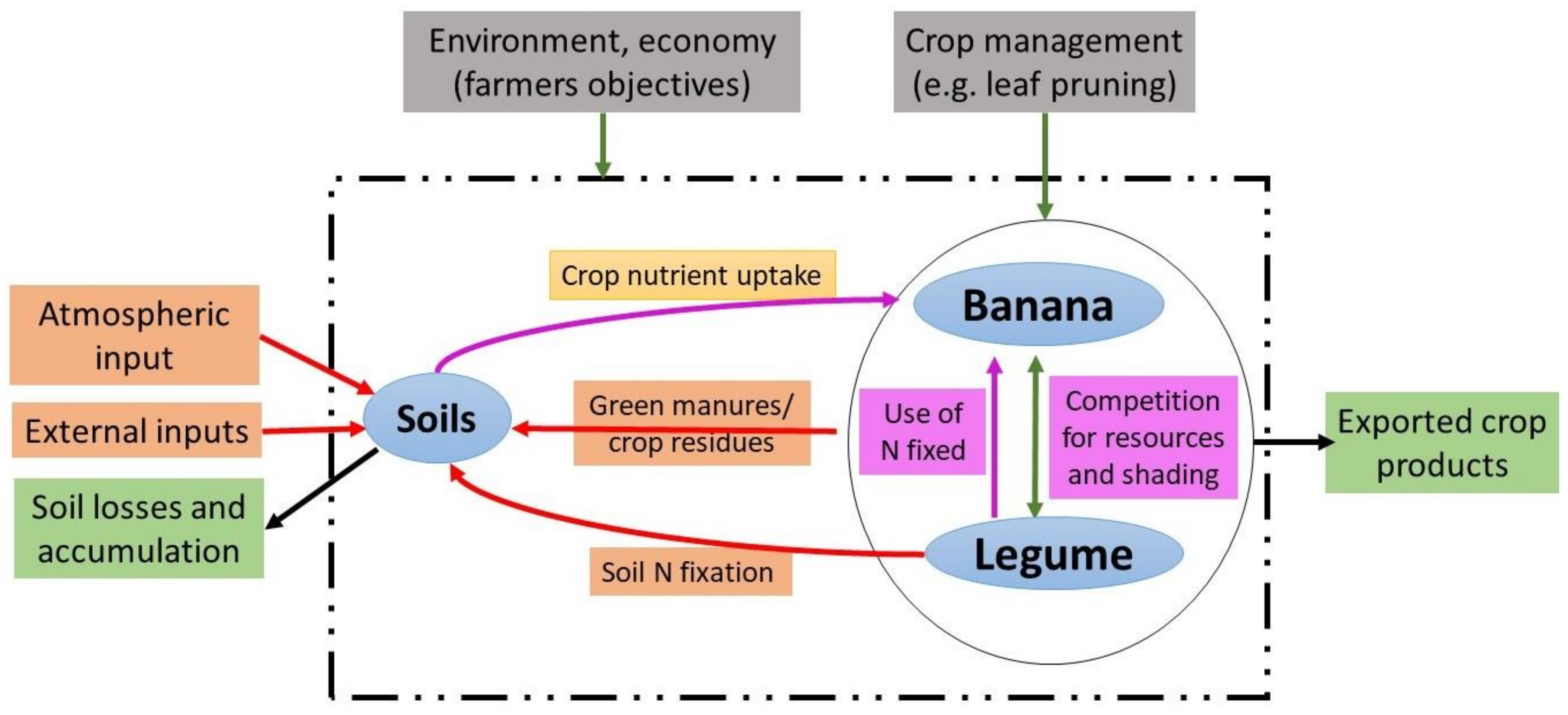 Agronomy 11 00311 g002 Agronomy 11 00311 g002