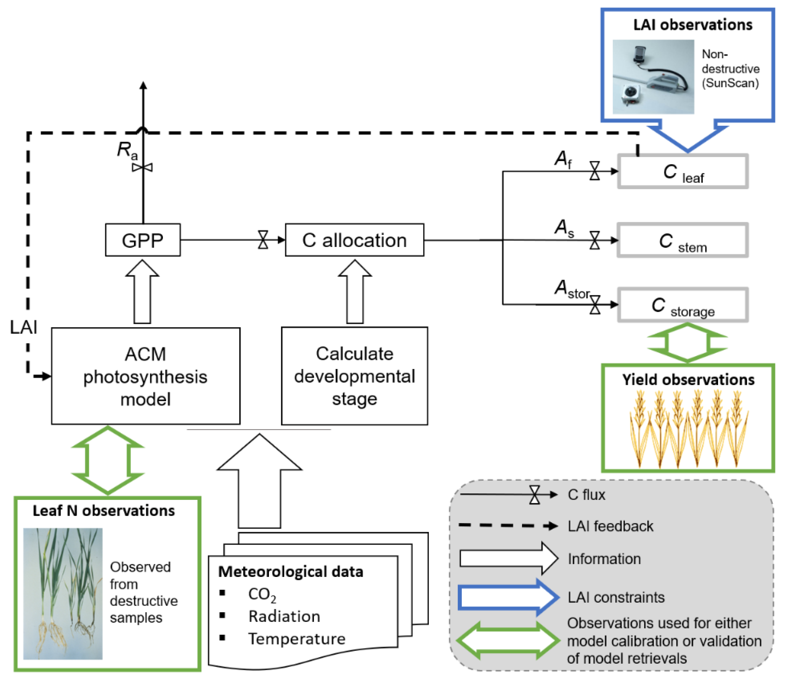 Agronomy 11 00314 g002 Agronomy 11 00314 g002
