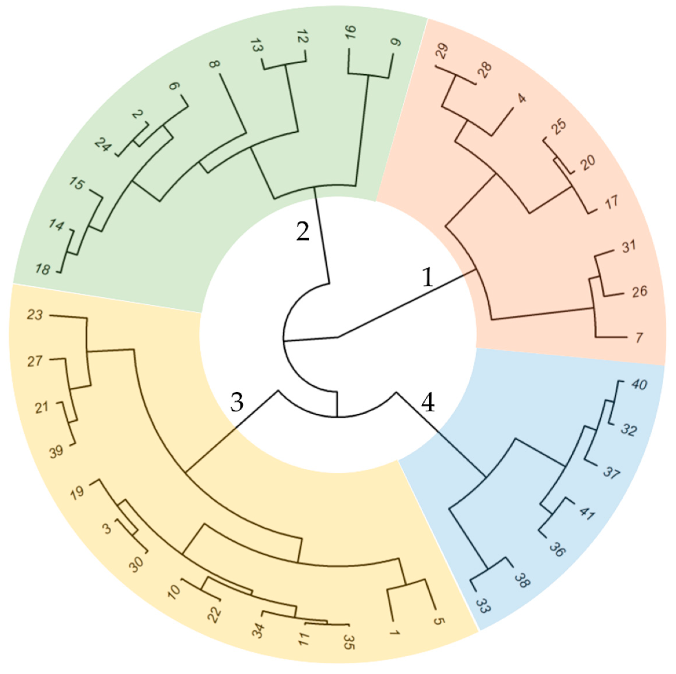 Agronomy Free Full Text Hidden Diversity Of Crown Rust Resistance Within Genebank Resources Of Avena Sterilis L Html