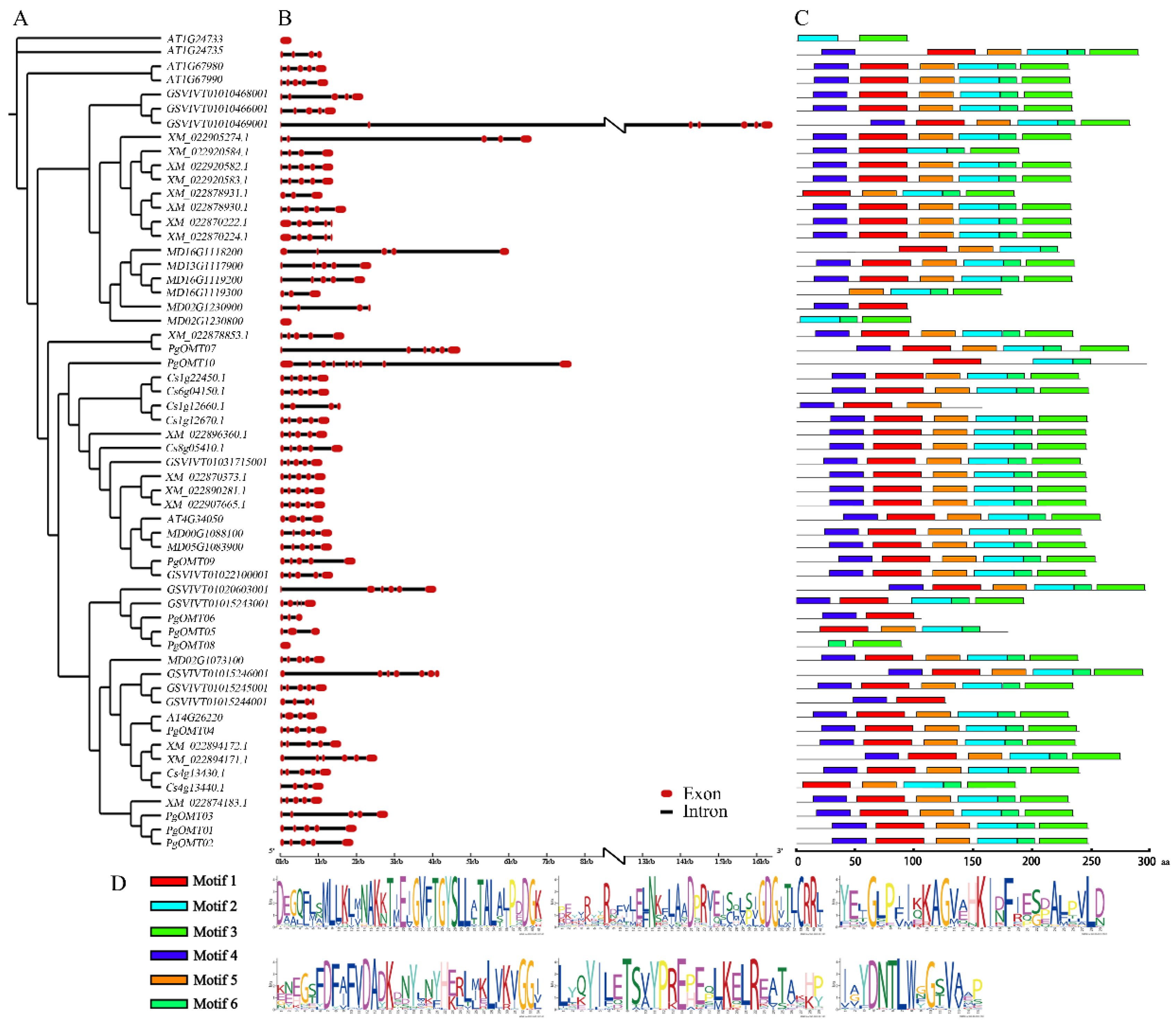 Agronomy 11 00318 g002 Agronomy 11 00318 g002