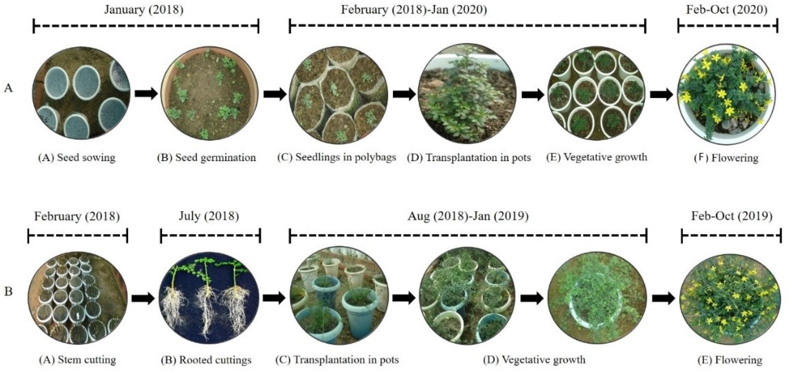 Agronomy 11 00331 g002 Agronomy 11 00331 g002