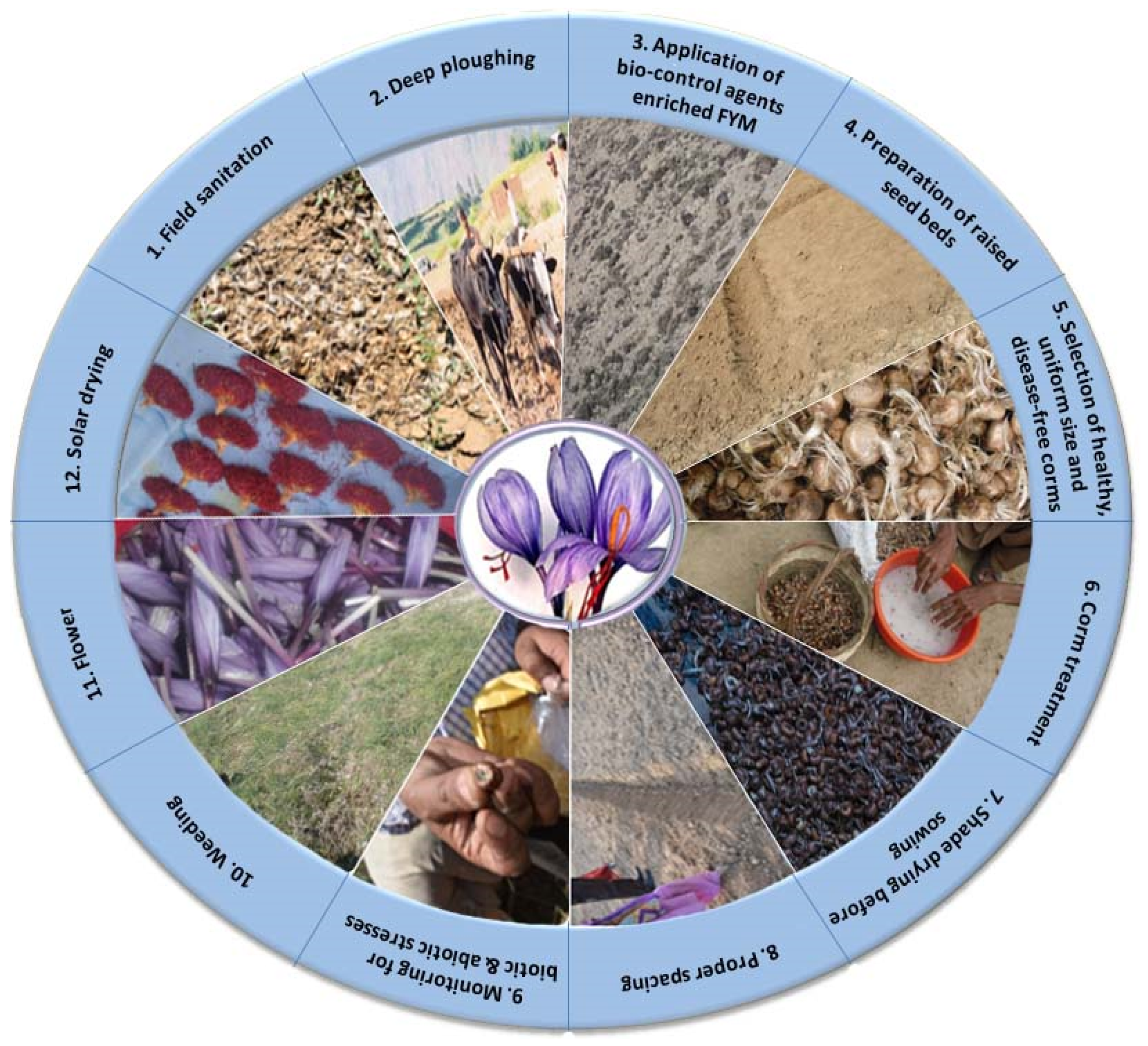 Agronomy 11 00339 g004