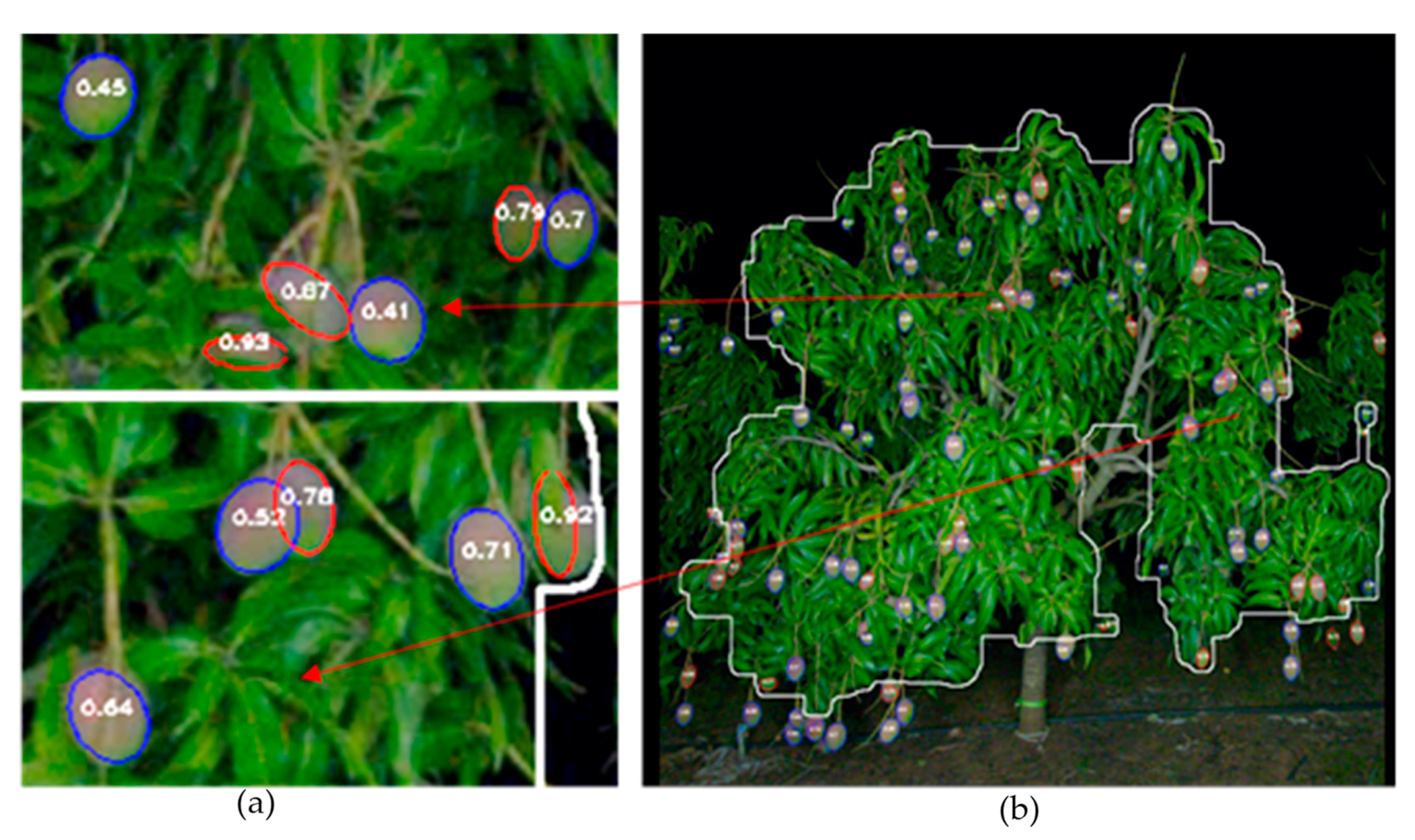 Agronomy 11 00347 g005 Agronomy 11 00347 g005