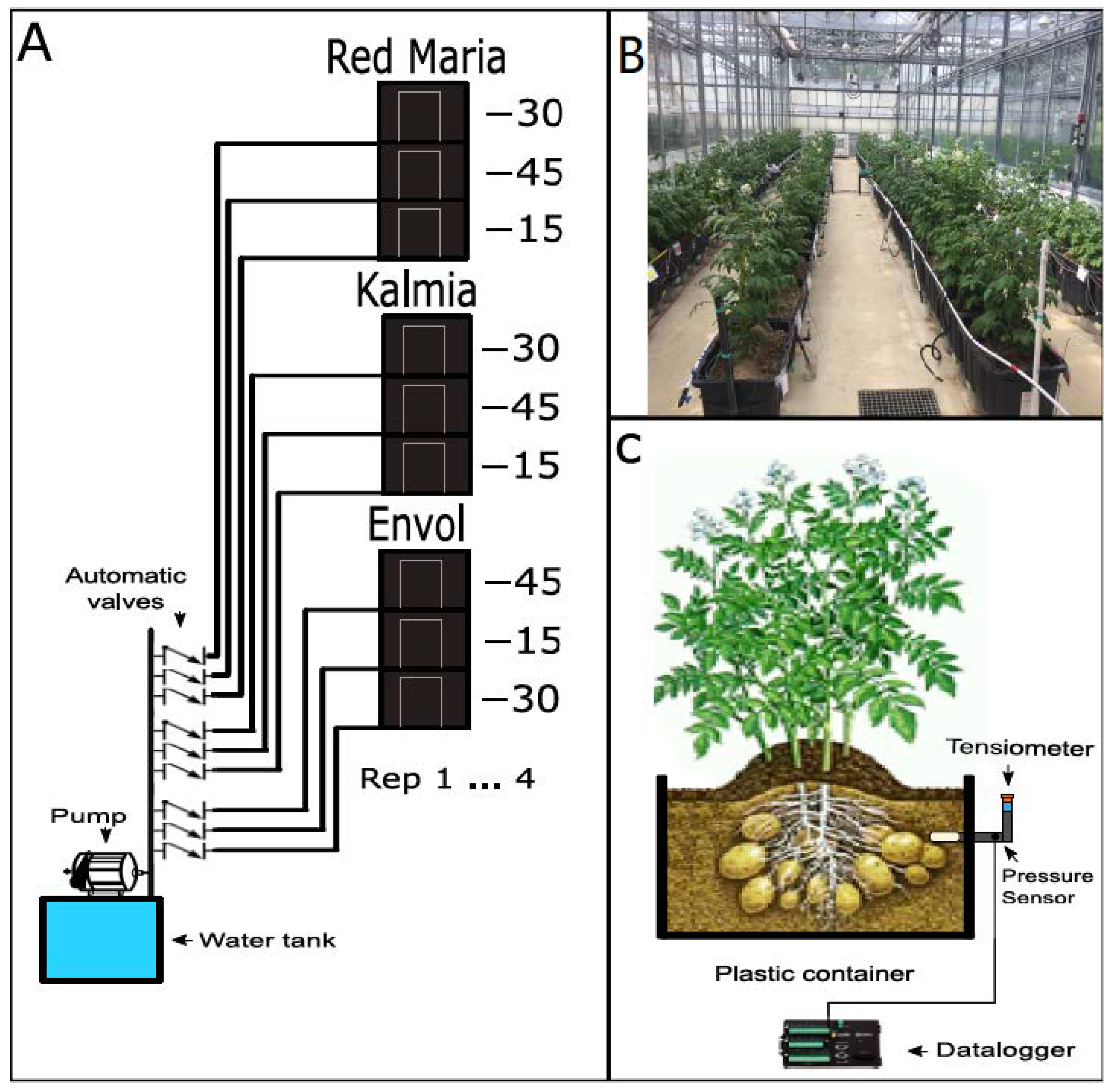 Agronomy 11 00352 g002
