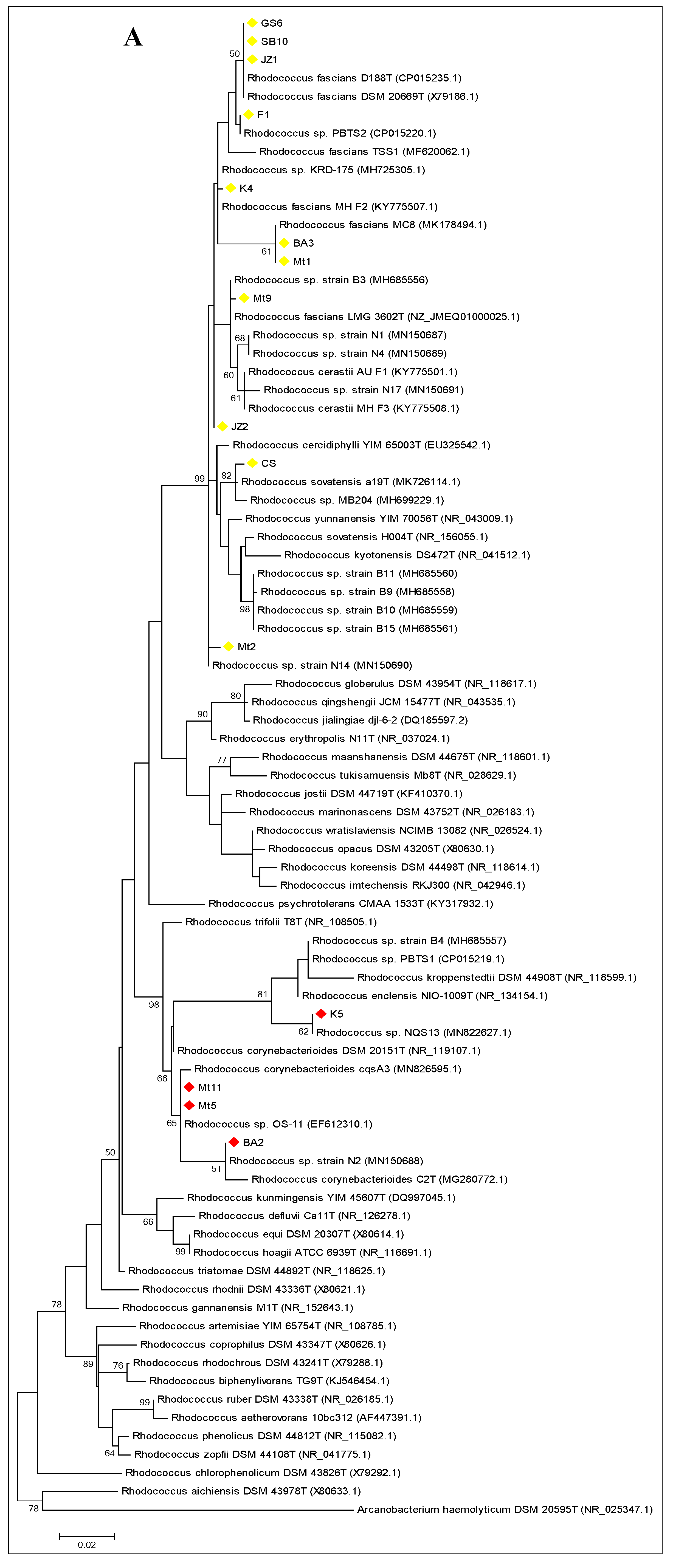Agronomy 11 00355 g001a Agronomy 11 00355 g001a