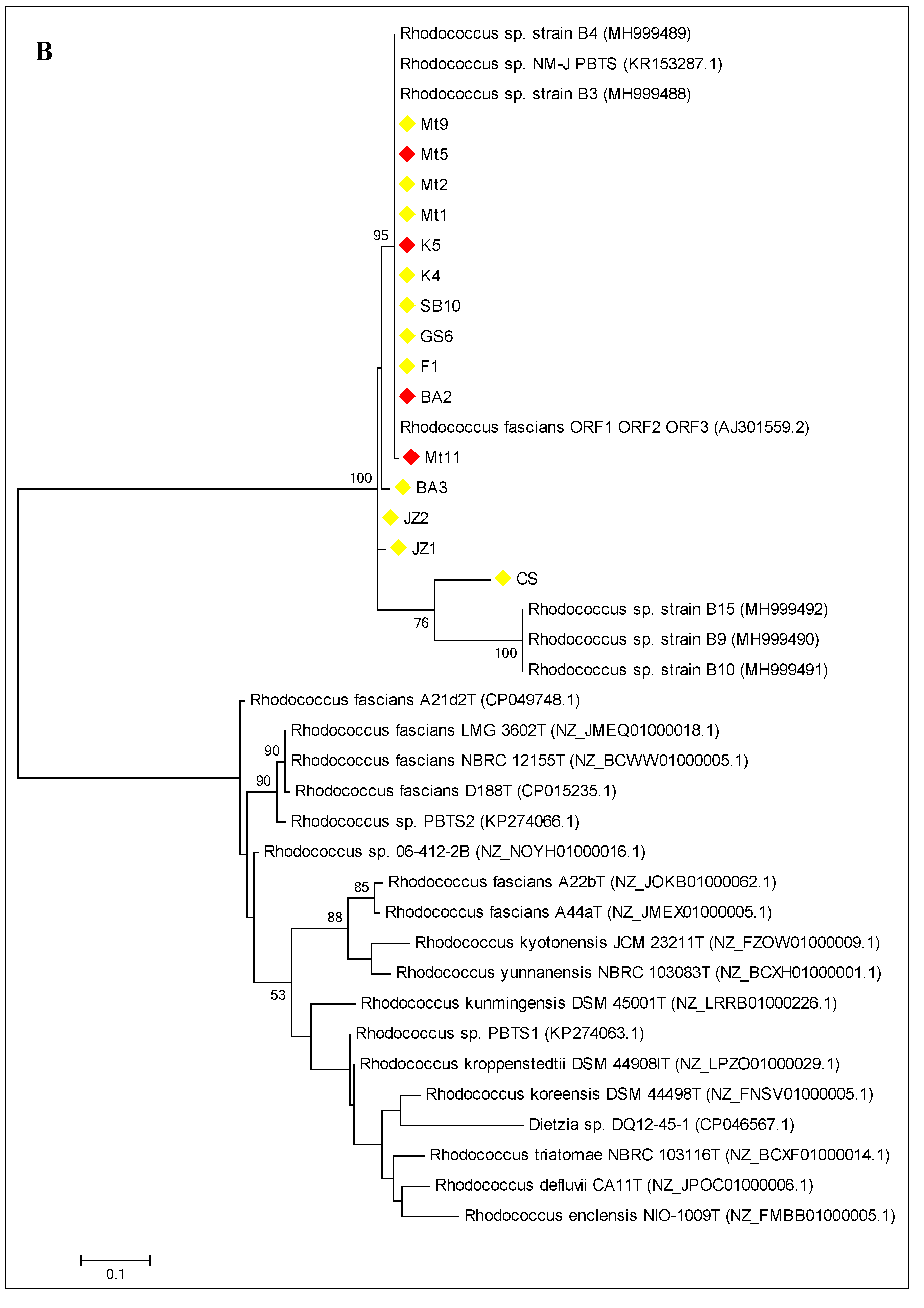 Agronomy 11 00355 g001b Agronomy 11 00355 g001b