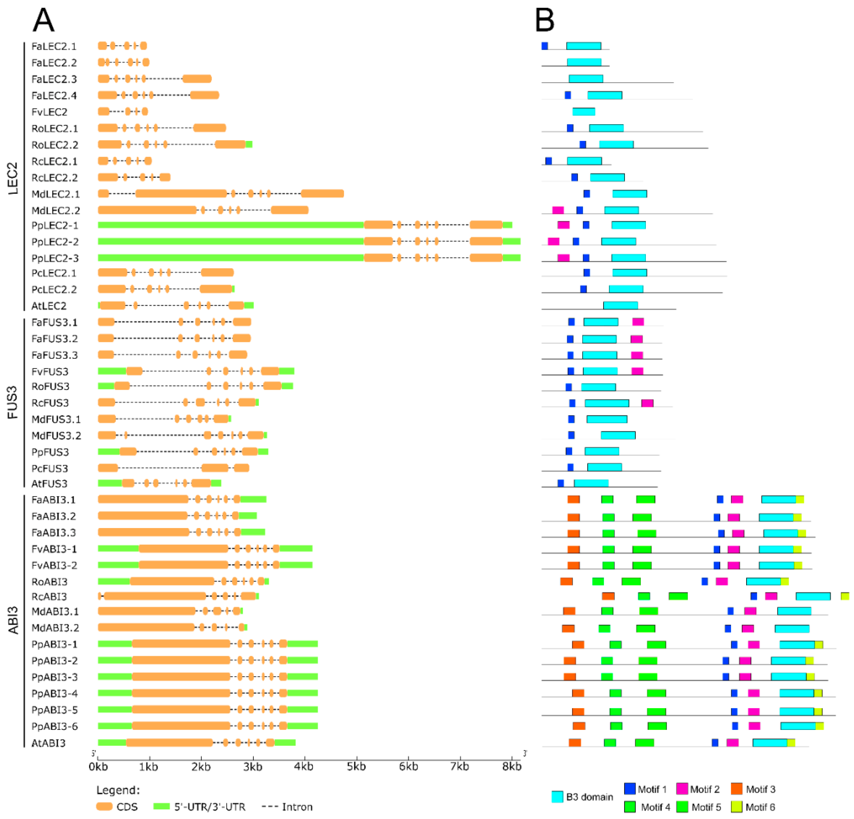 Agronomy 11 00356 g002 Agronomy 11 00356 g002