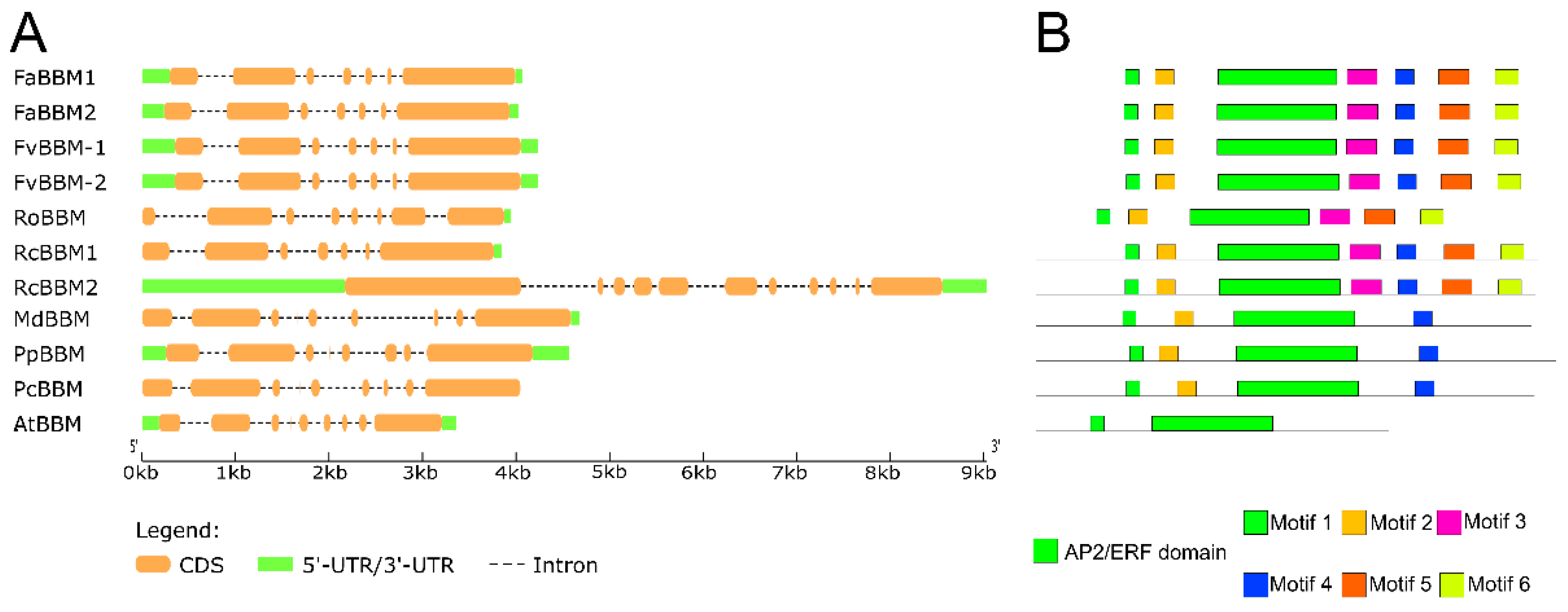 Agronomy 11 00356 g003 Agronomy 11 00356 g003