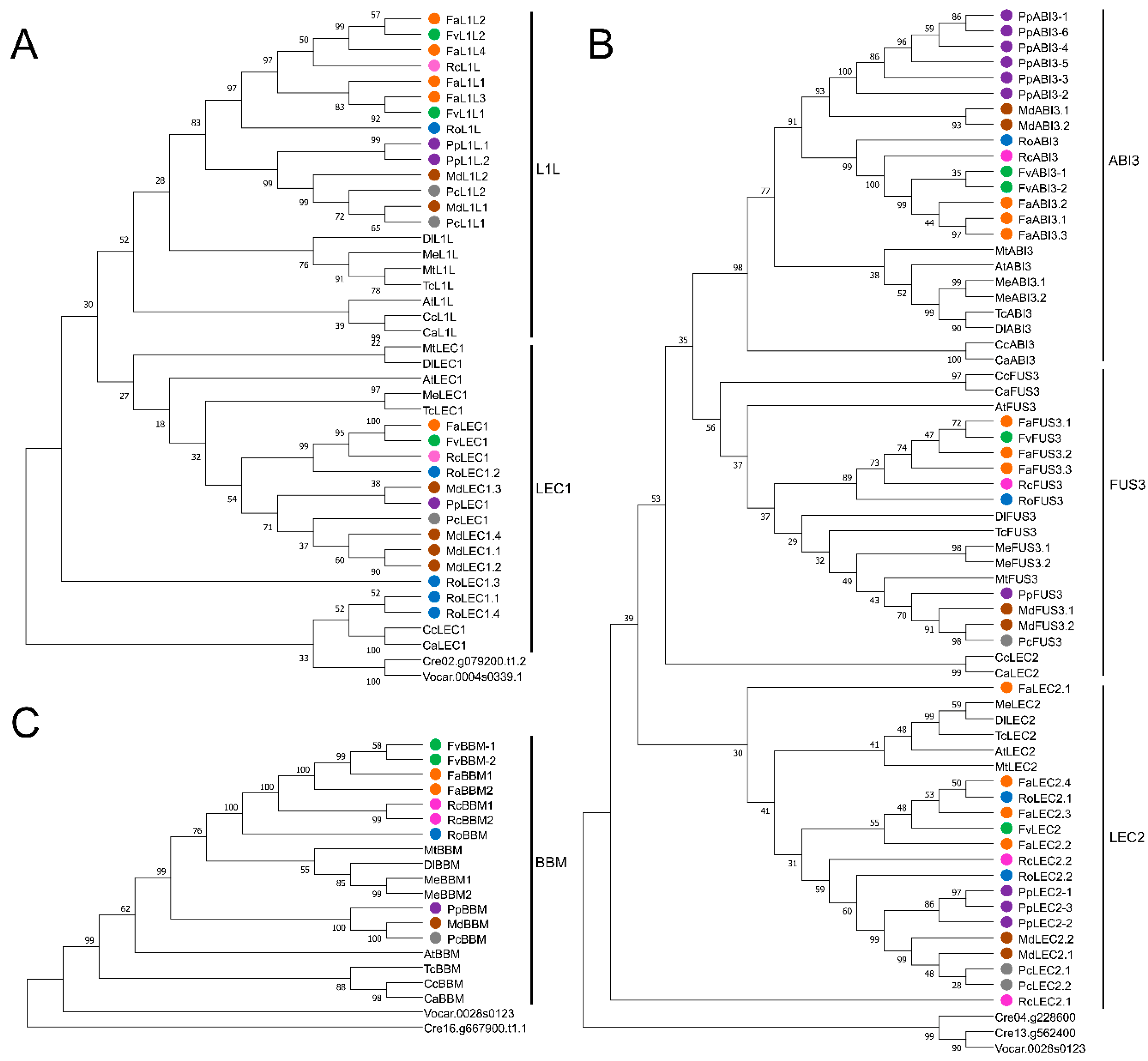 Agronomy 11 00356 g006 Agronomy 11 00356 g006