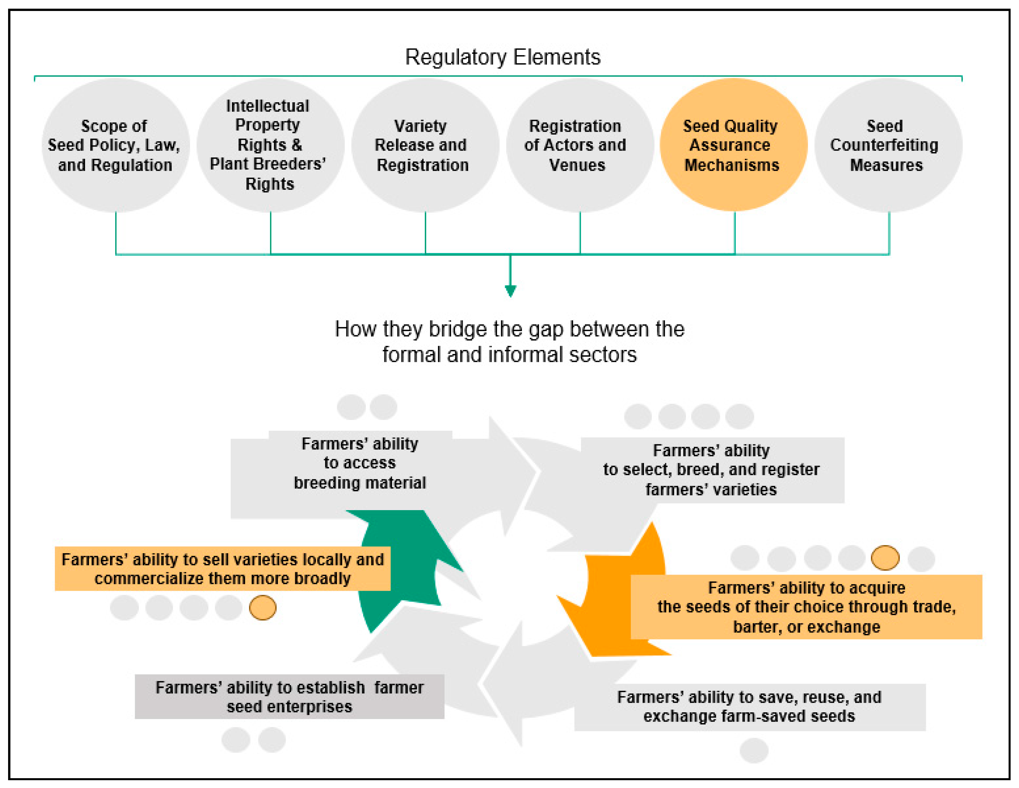 Agronomy 11 00377 g004