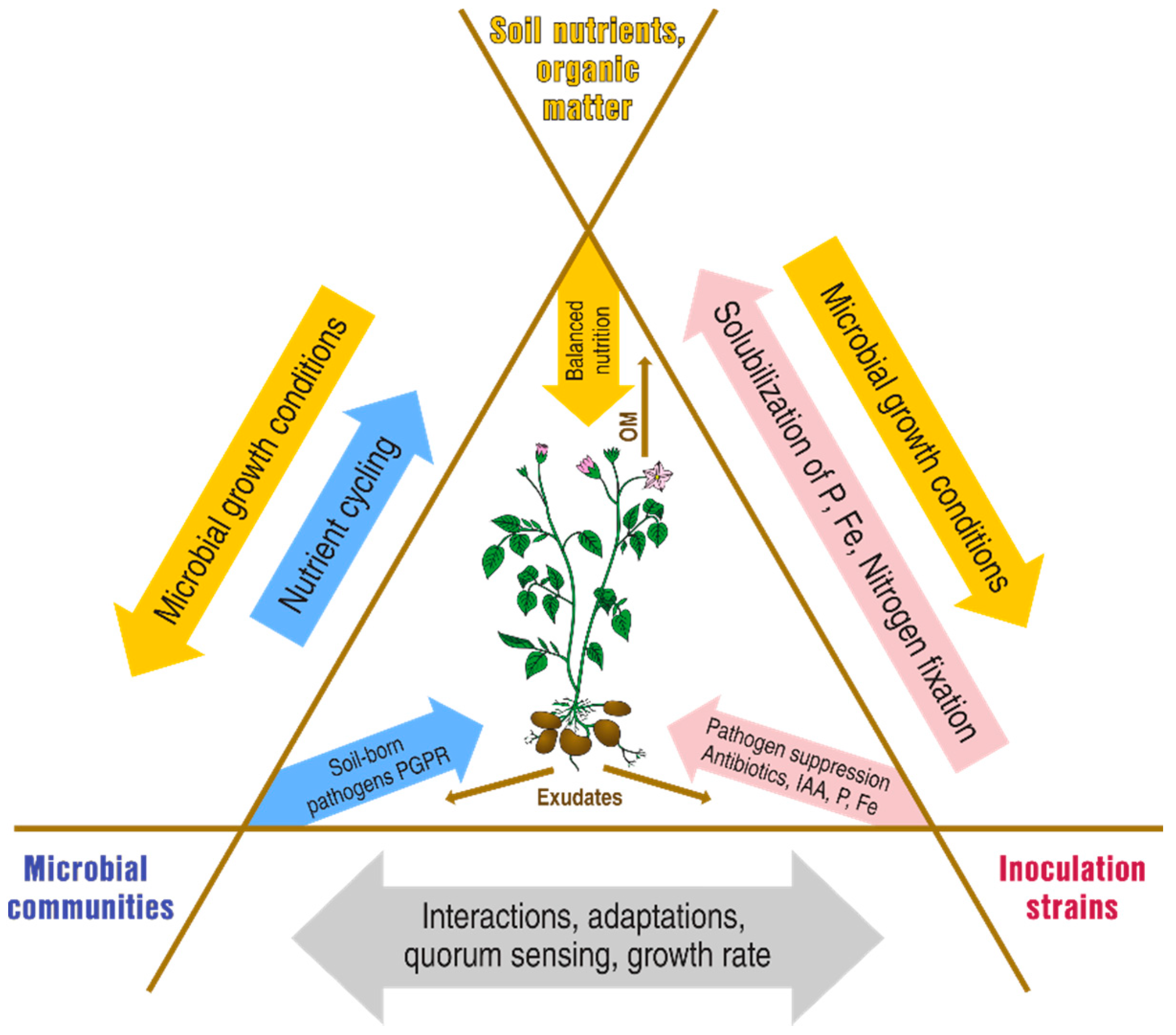 Agronomy 11 00383 g001 Agronomy 11 00383 g001