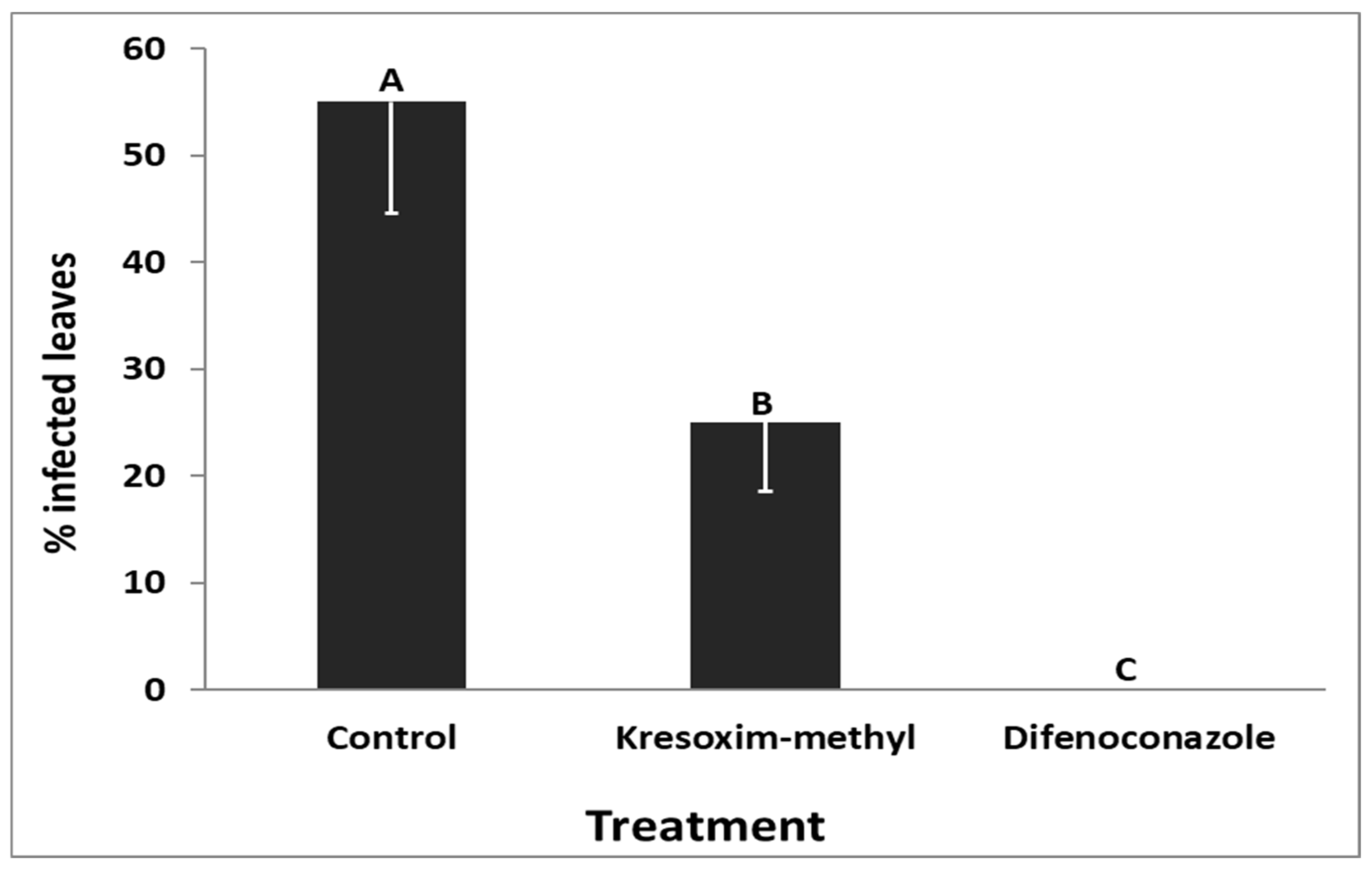 Agronomy 11 00396 g006