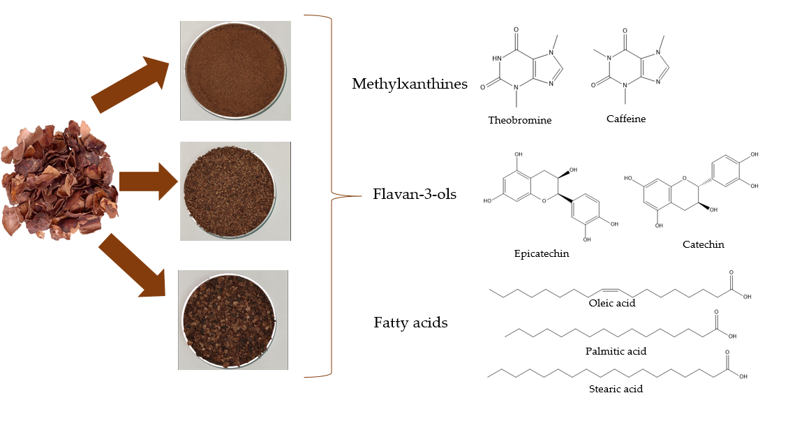 Agronomy Free FullText Ghanaian Cocoa (Theobroma cacao L.) Bean