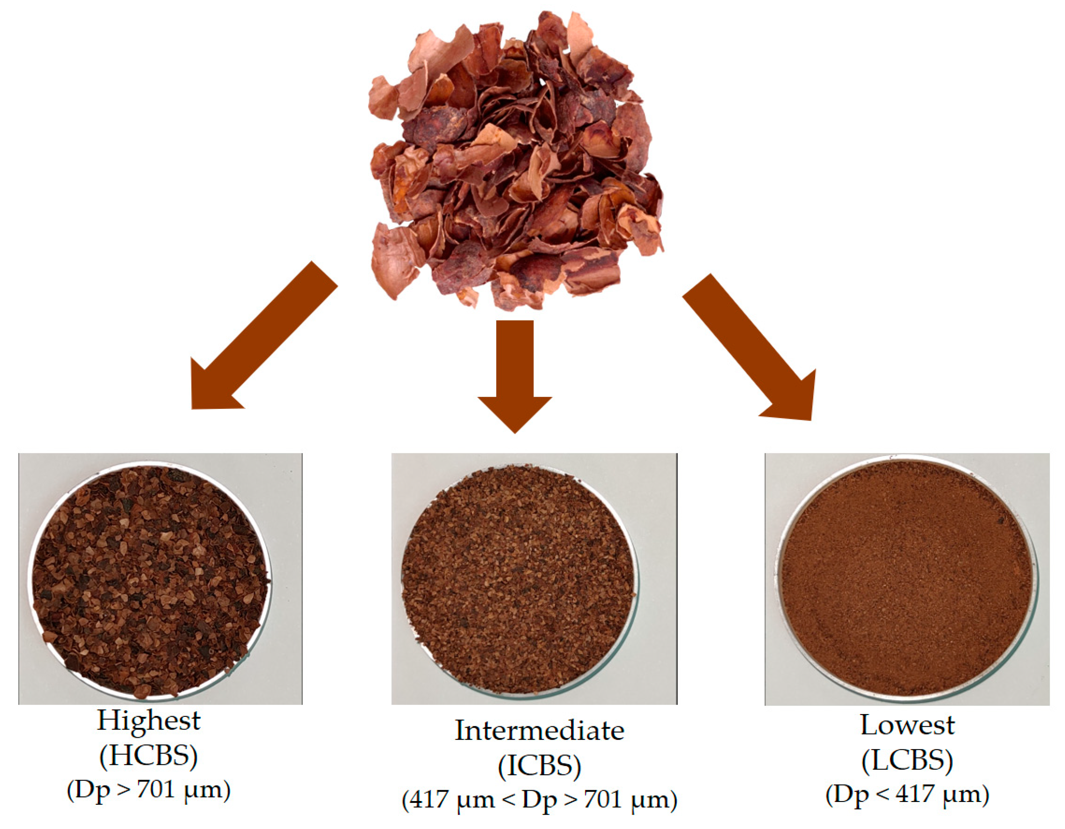 Agronomy 11 00401 g001