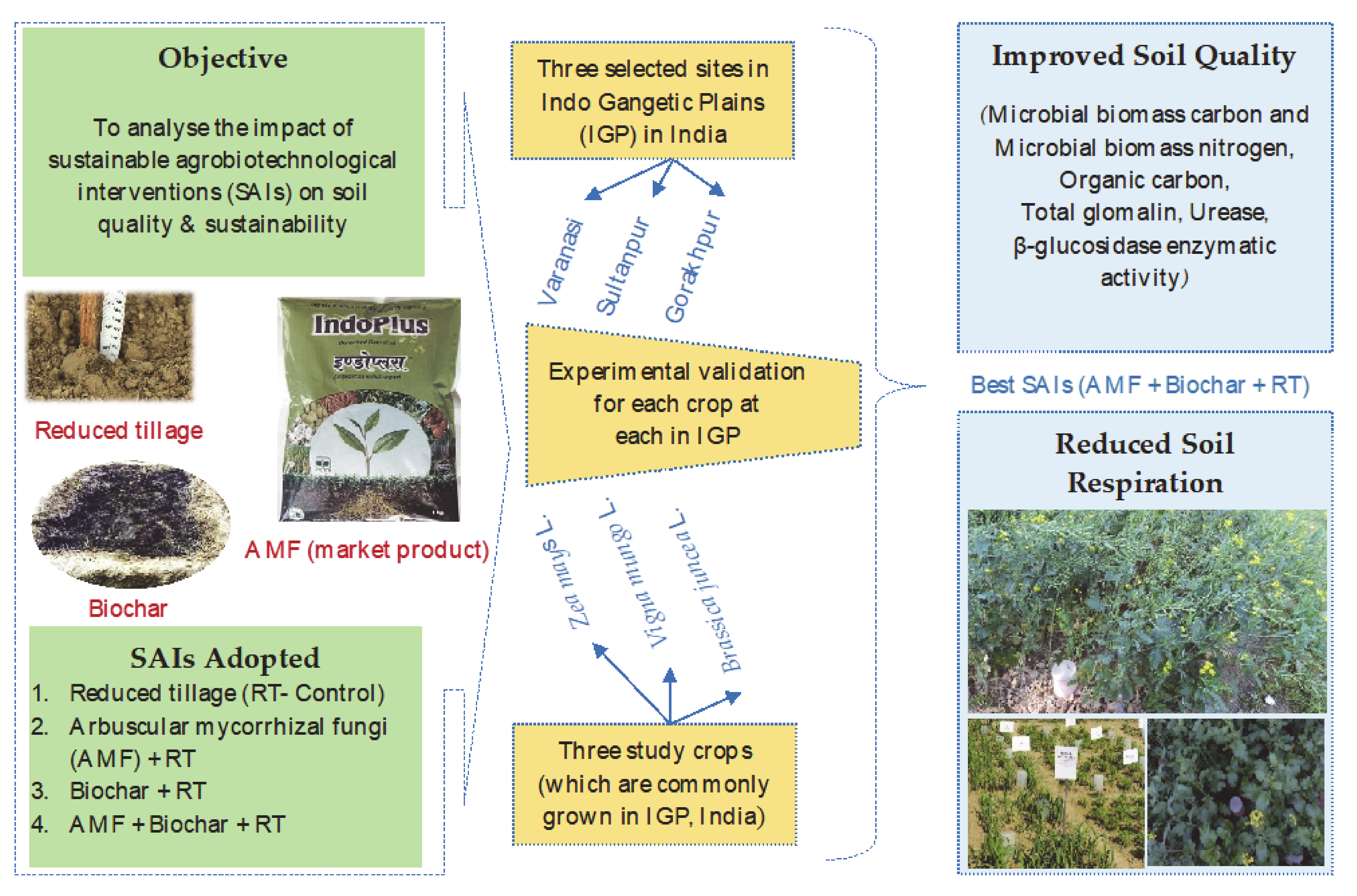 Agronomy 11 00402 g004 Agronomy 11 00402 g004